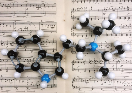 Journeys into Sound: Psychedelics and Auditory Perception&nbsp;
