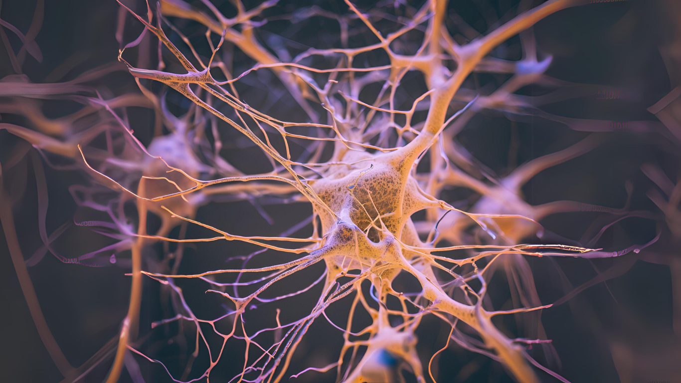 Psilocybin S Potential Therapeutic Impact On Brain Communication