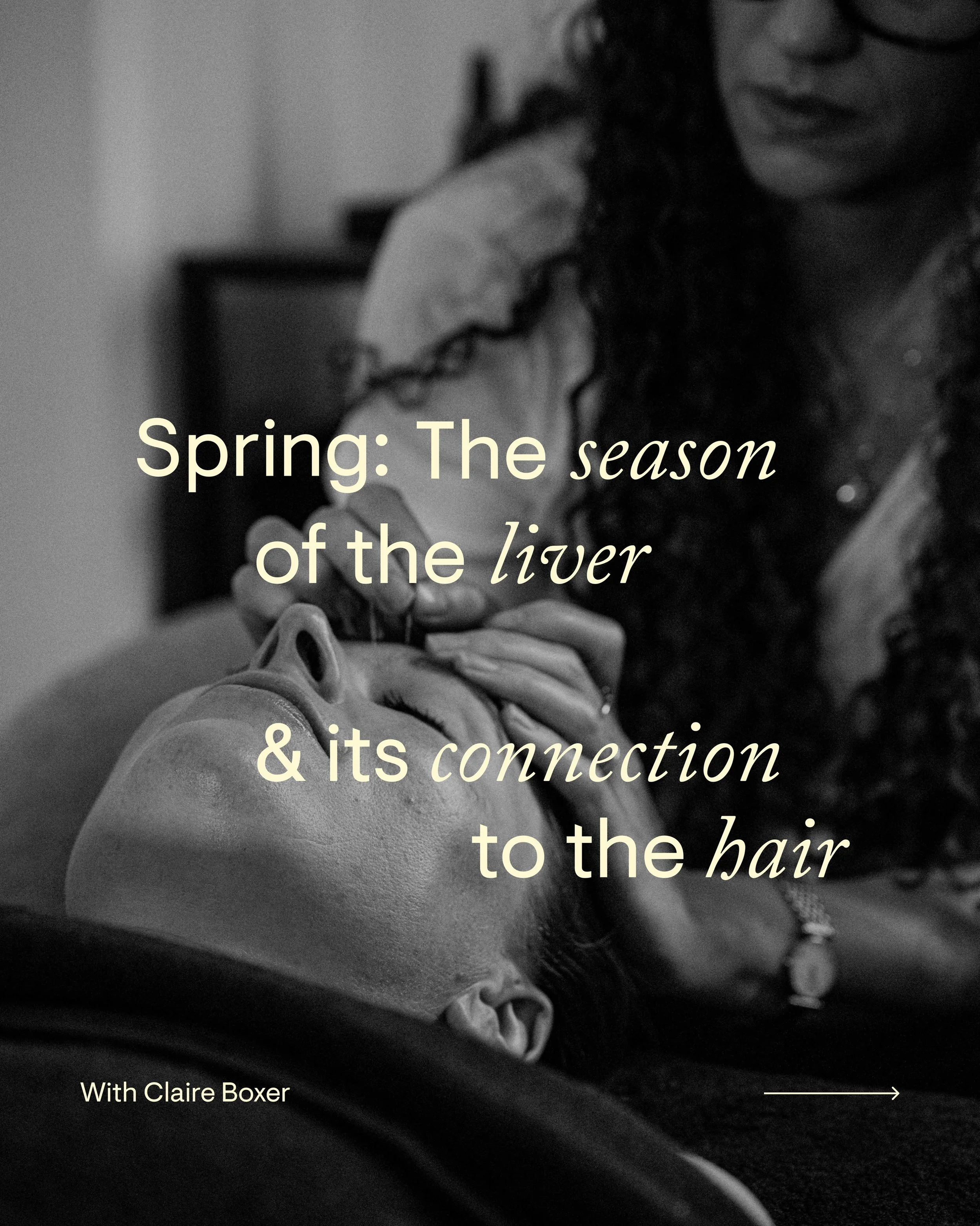 Spring is the season of the Liver in Traditional Chinese Medicine 🌿

But what does that mean for your hair?

Our in-house acupuncturist, Claire, explains the connection and how to support your hair health this spring.