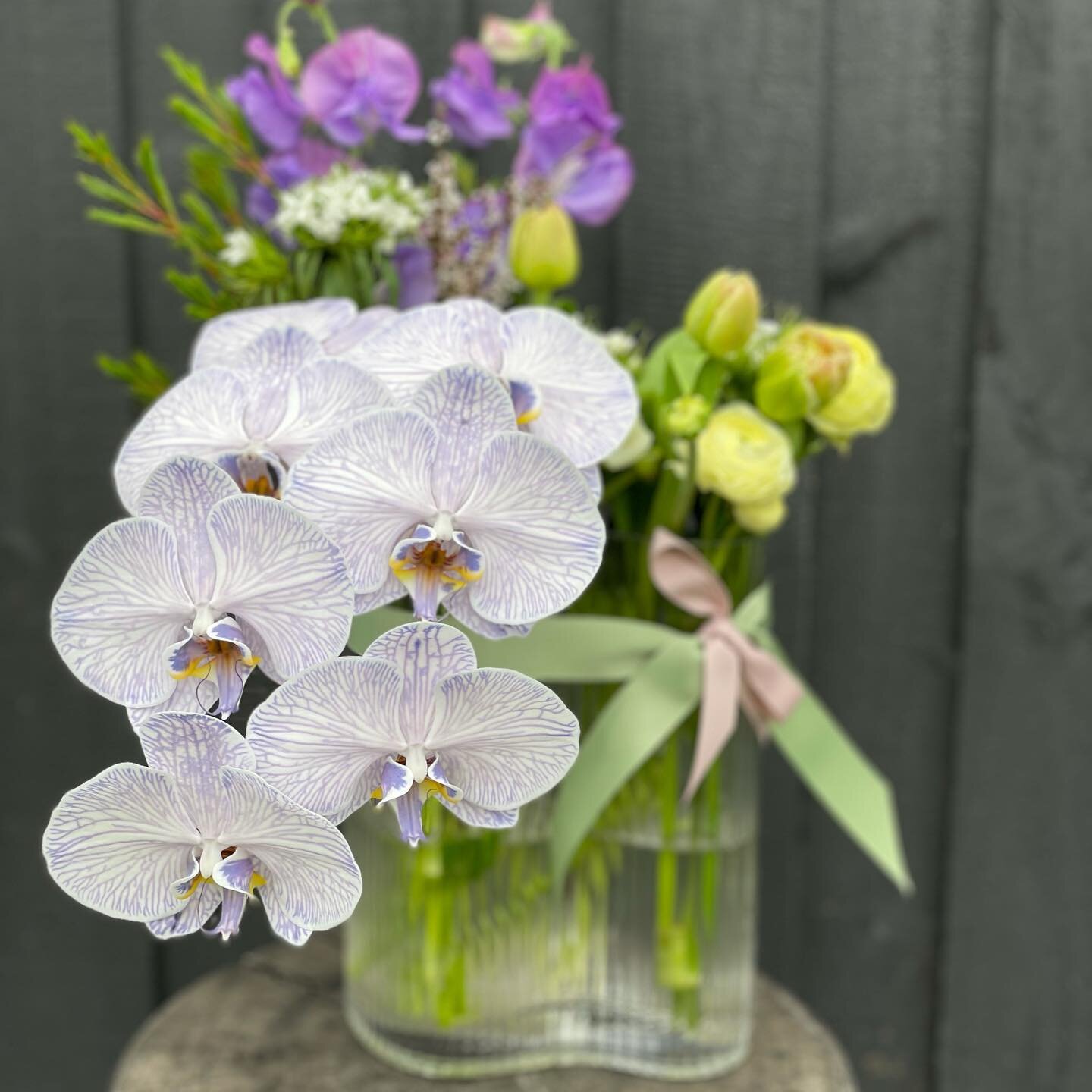 Saturday Blooms 💜
.
.
.
.
#saturday #saturdayvibes #flowersmakemehappy #flowersmakemehappy #flowersfordays #flowerslovers #phalenopsis #flowerstems #glassvase #flowerbouquet #fillyourvessel #vases #saturdayblooms❤️ #flowersforyou #friendsandfamily #