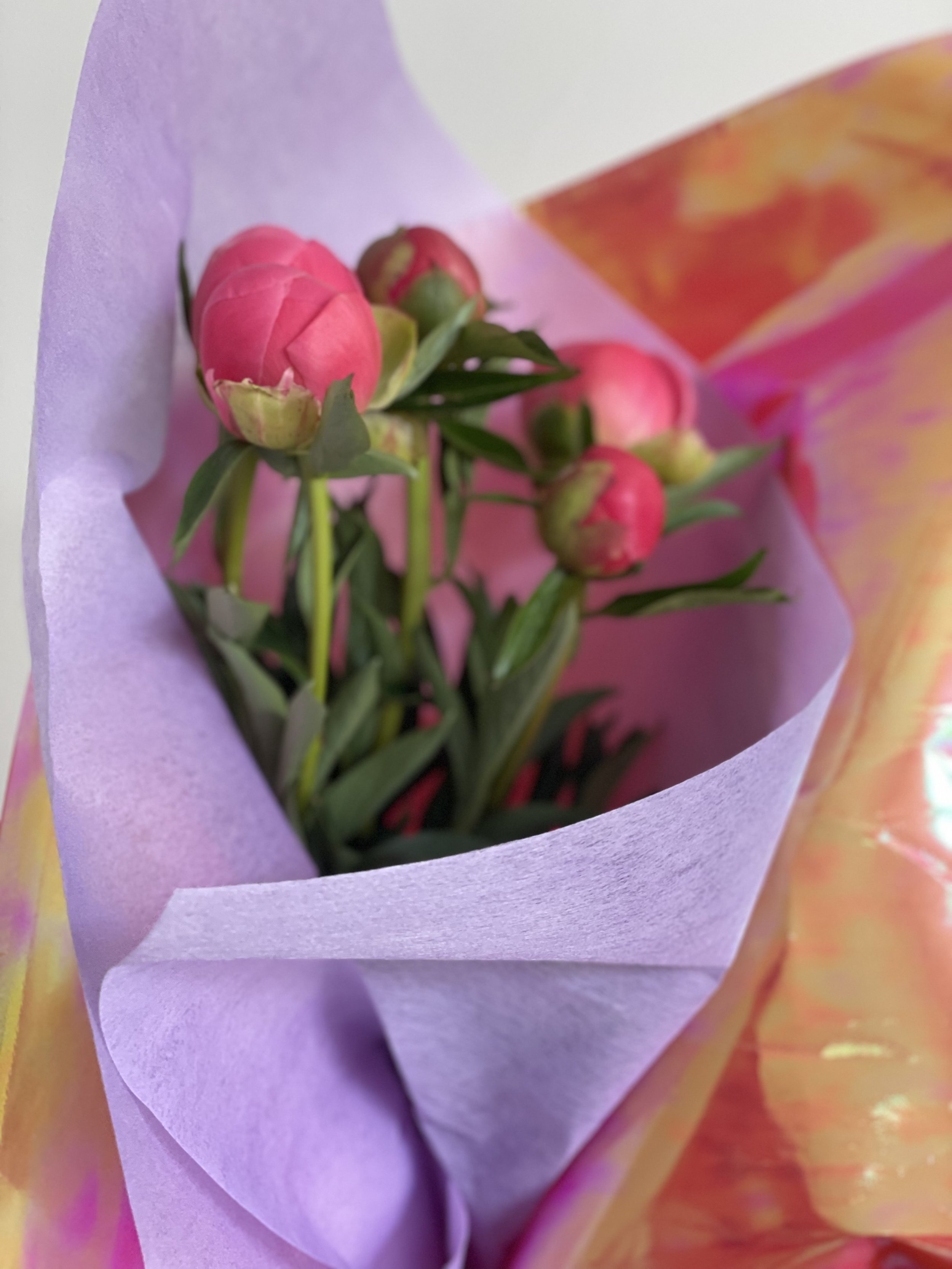 Pink Peony's