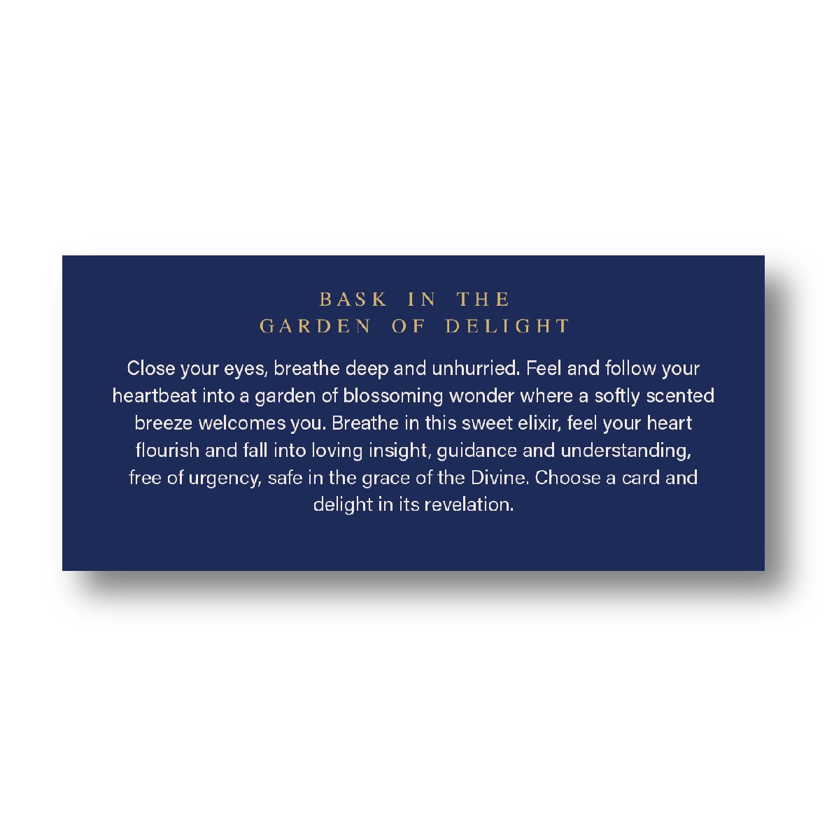 Website Graphics-02.jpg