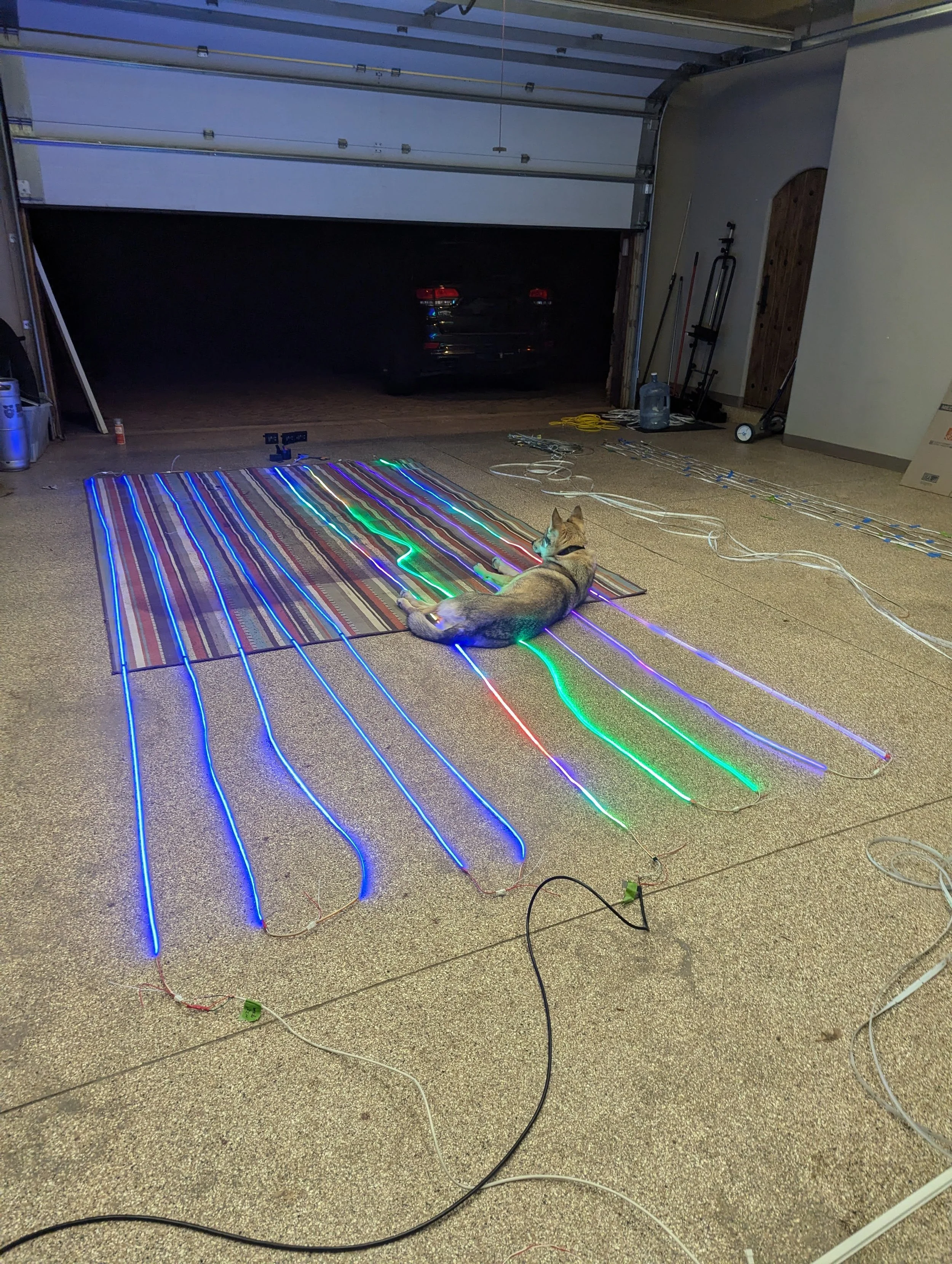 2024 BM Art Down the Rabit Hole (12).jpg