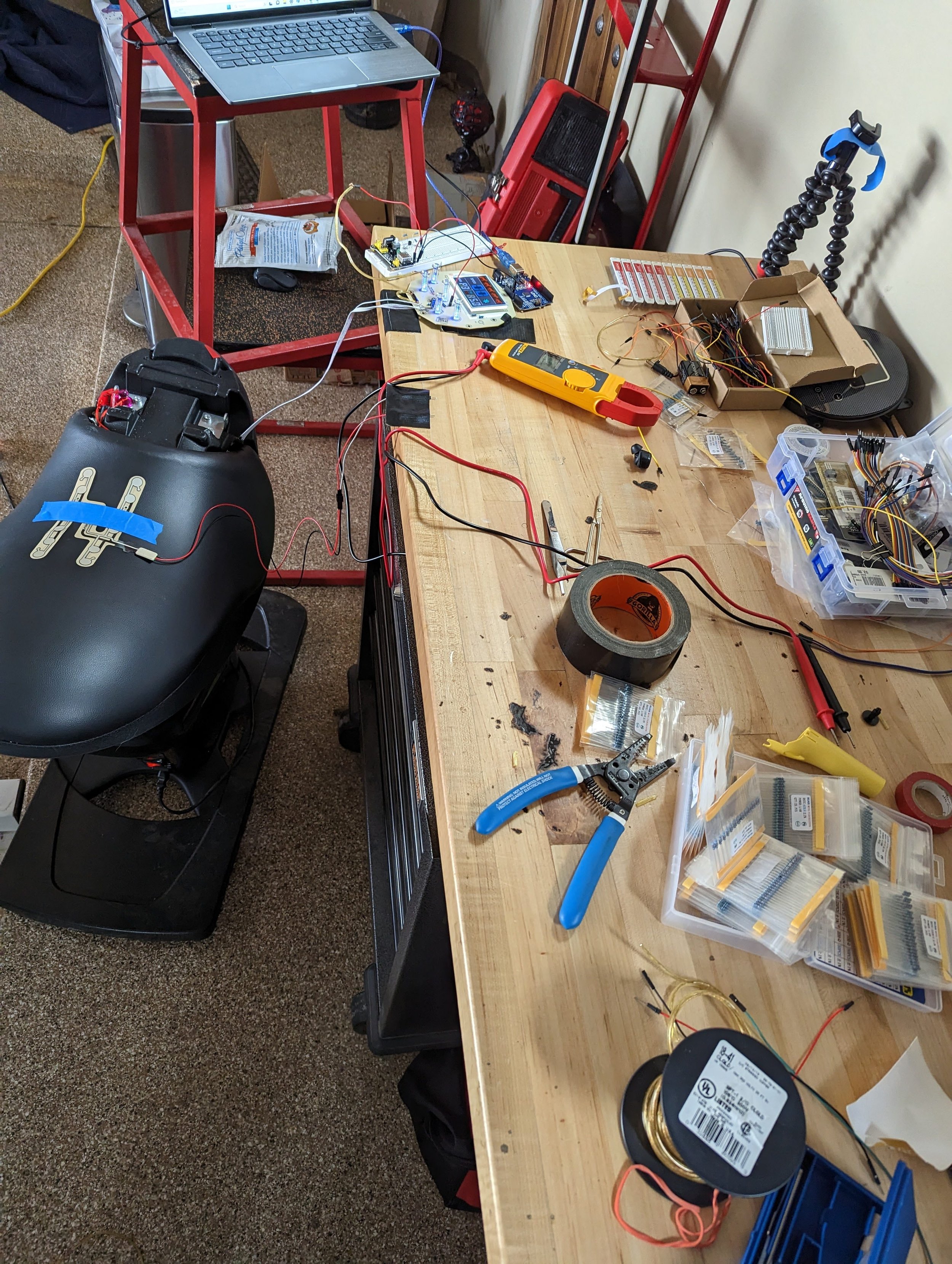 Natures Course 2023 BM (7).jpg