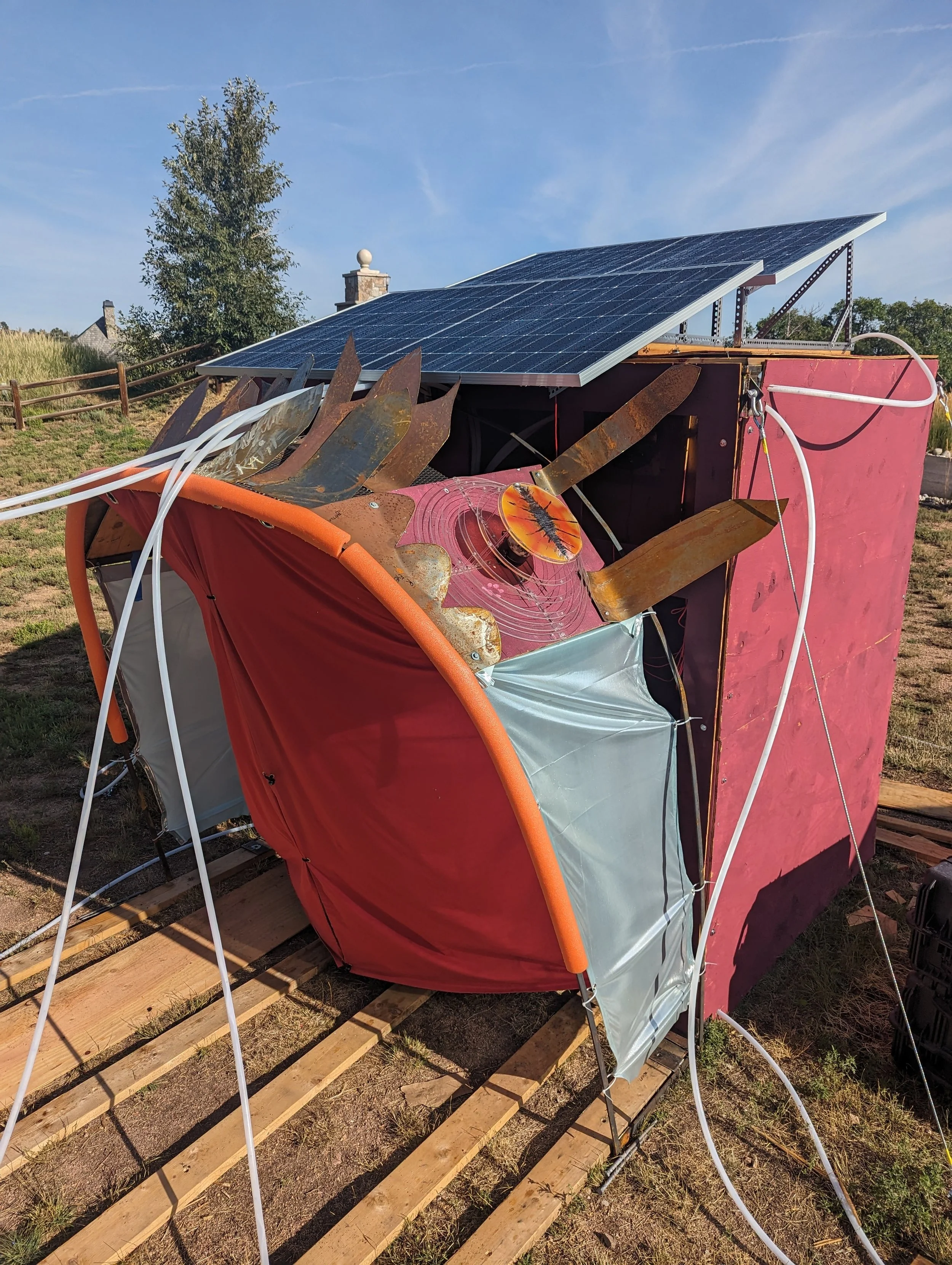 Natures Course 2023 BM (29).jpg