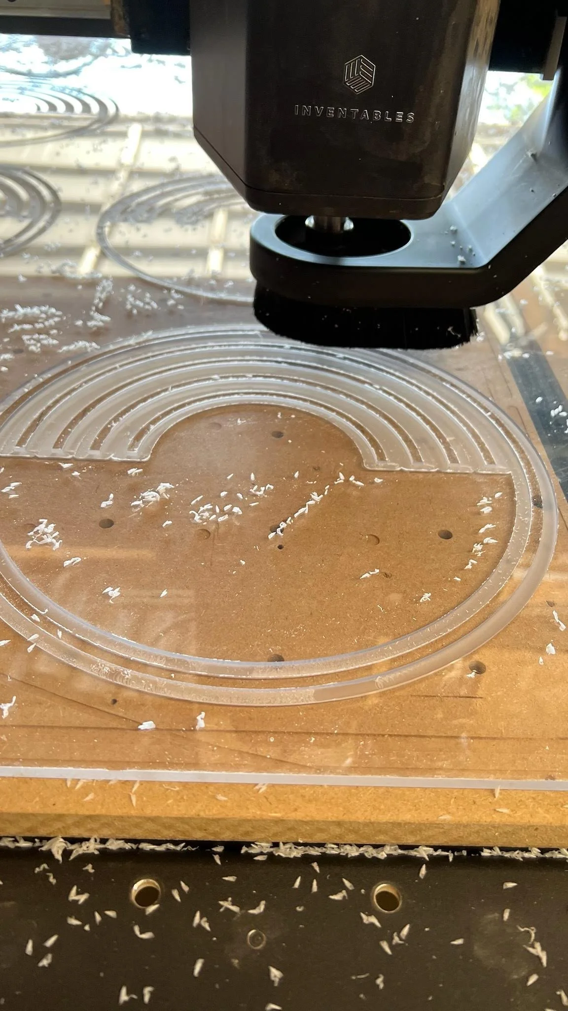 2024 BM Art Down the Rabit Hole (7).jpg