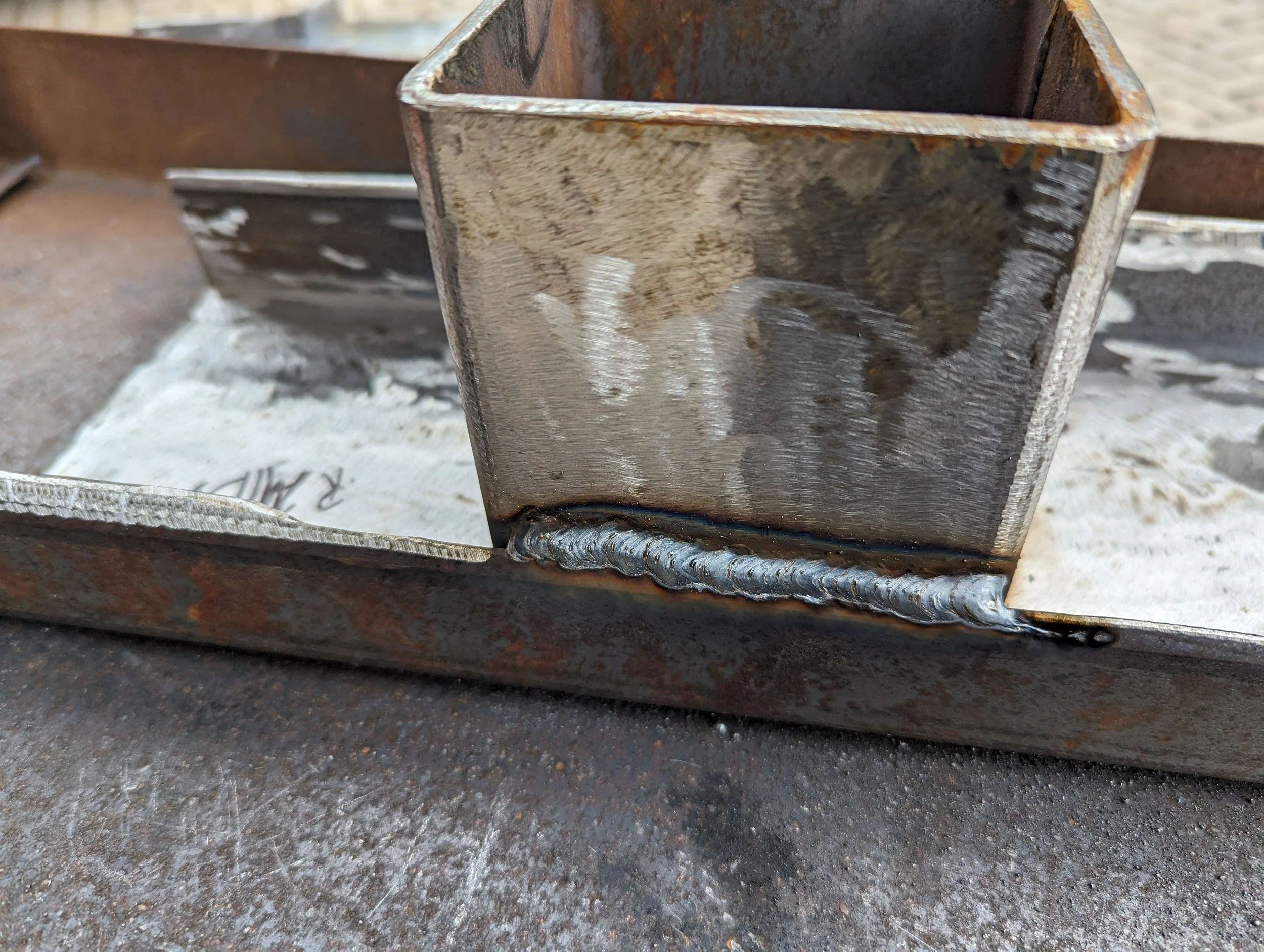 Natures Course 2023 BM (15).jpg