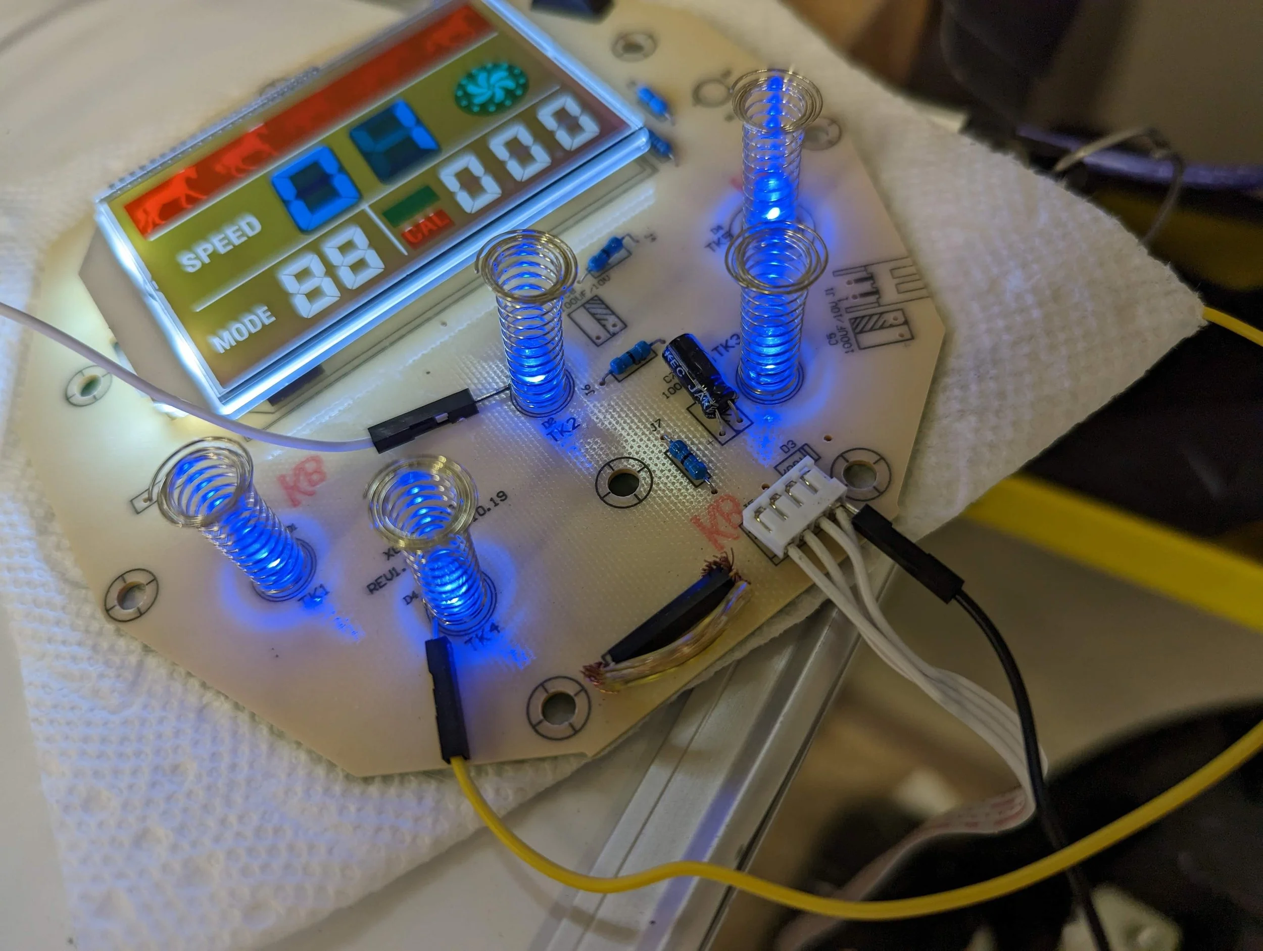 Natures Course 2023 BM (11).jpg