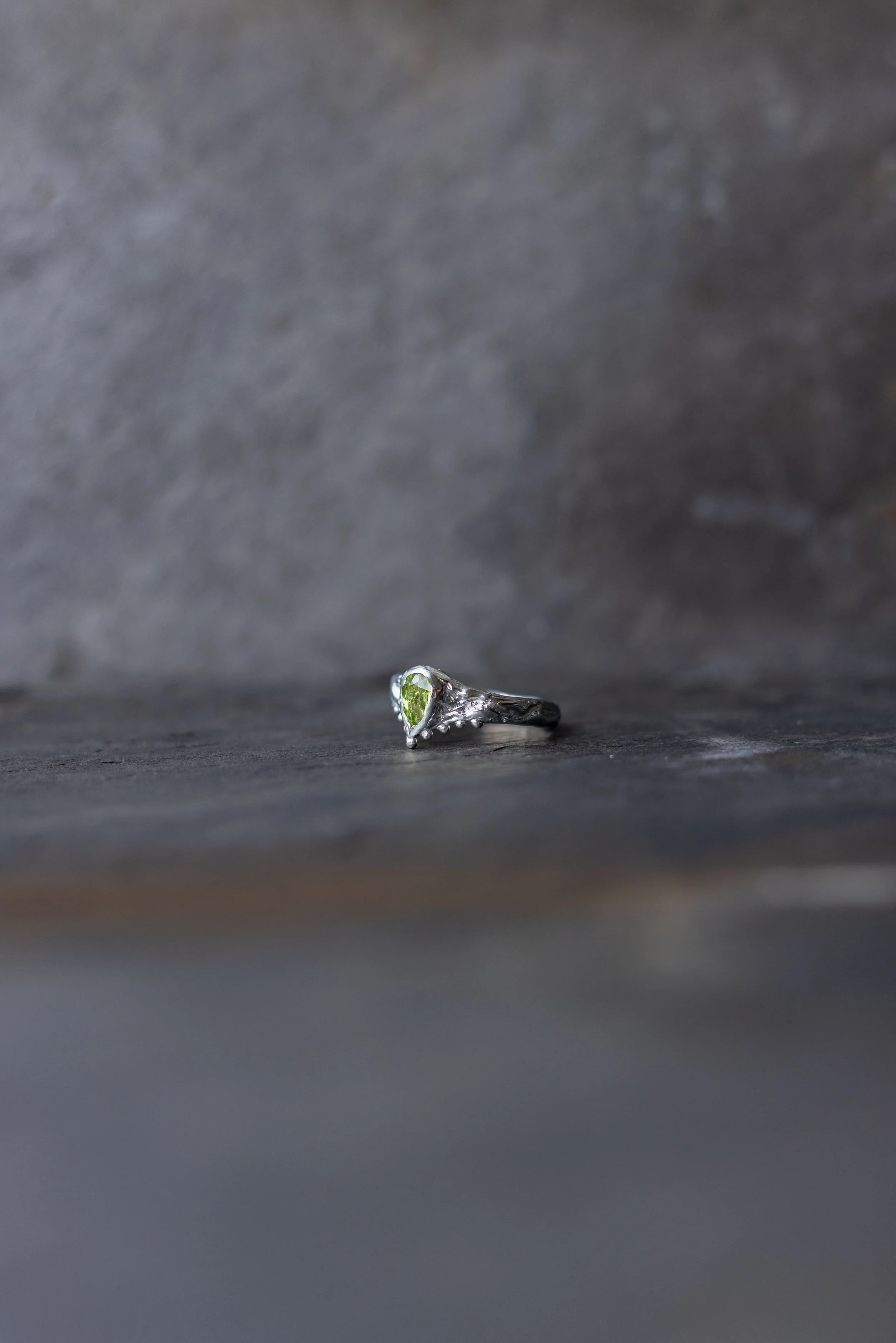 IMG_8100 2025-04-29 14_06_28.JPG