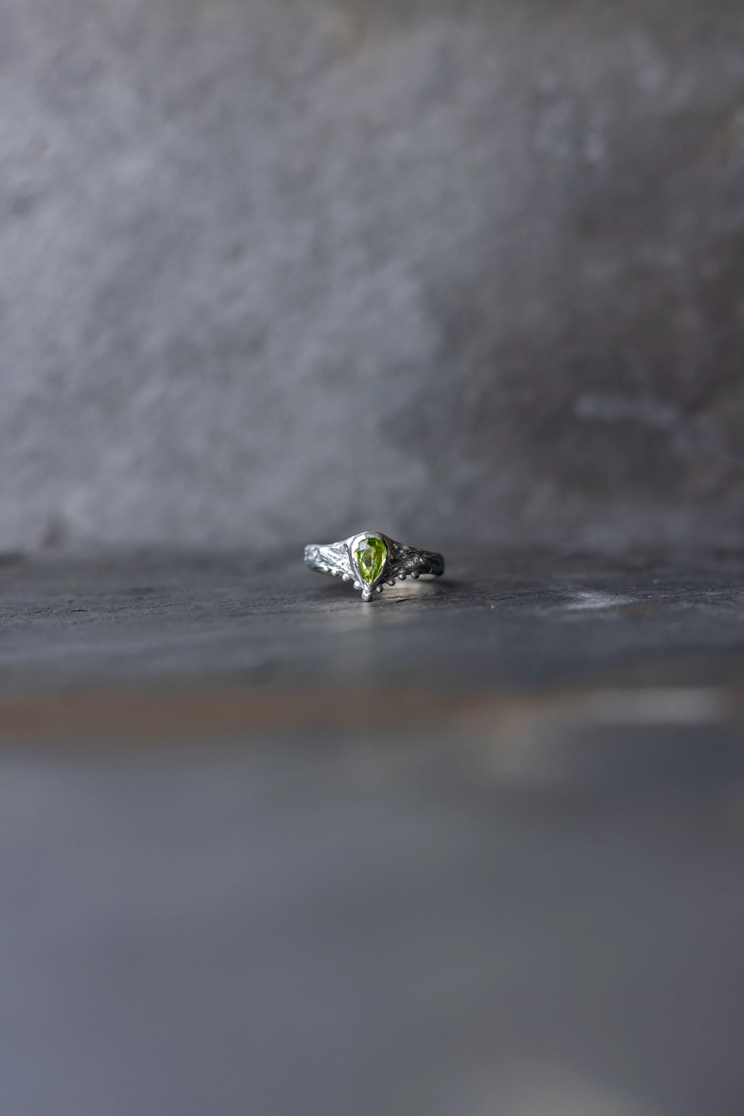 IMG_8098 2025-04-12 00_10_35.JPG