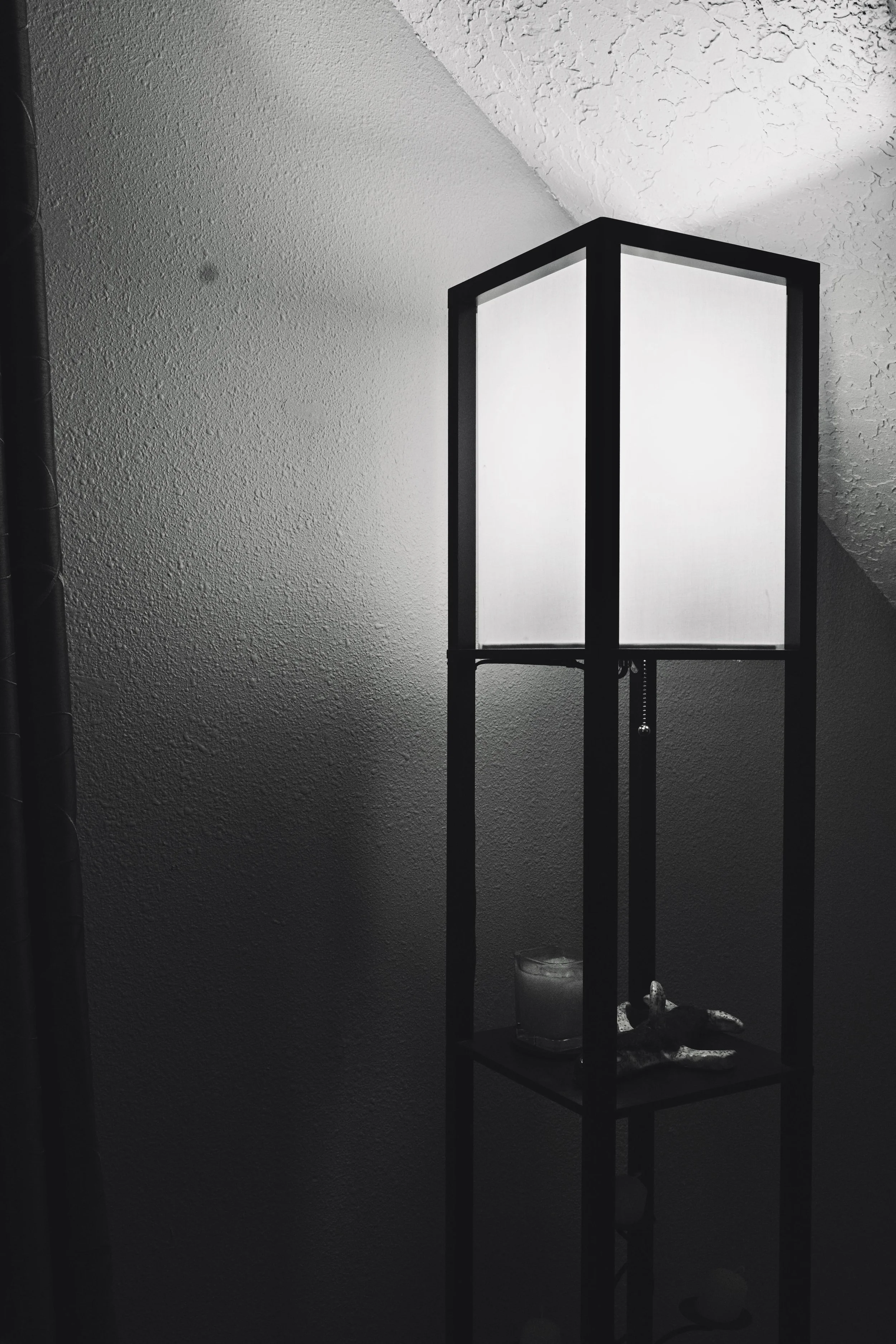 January 13, 2022 / 135 of 365