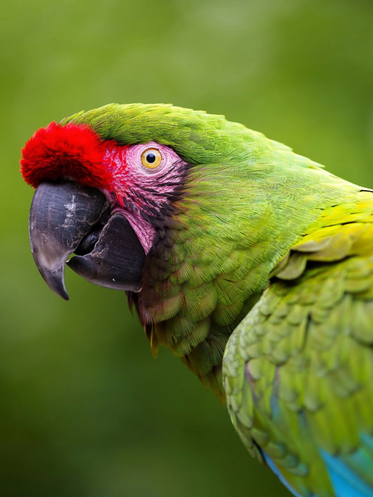 @zoodejurques
#zoodejurques
#explore_normandie
#normandie