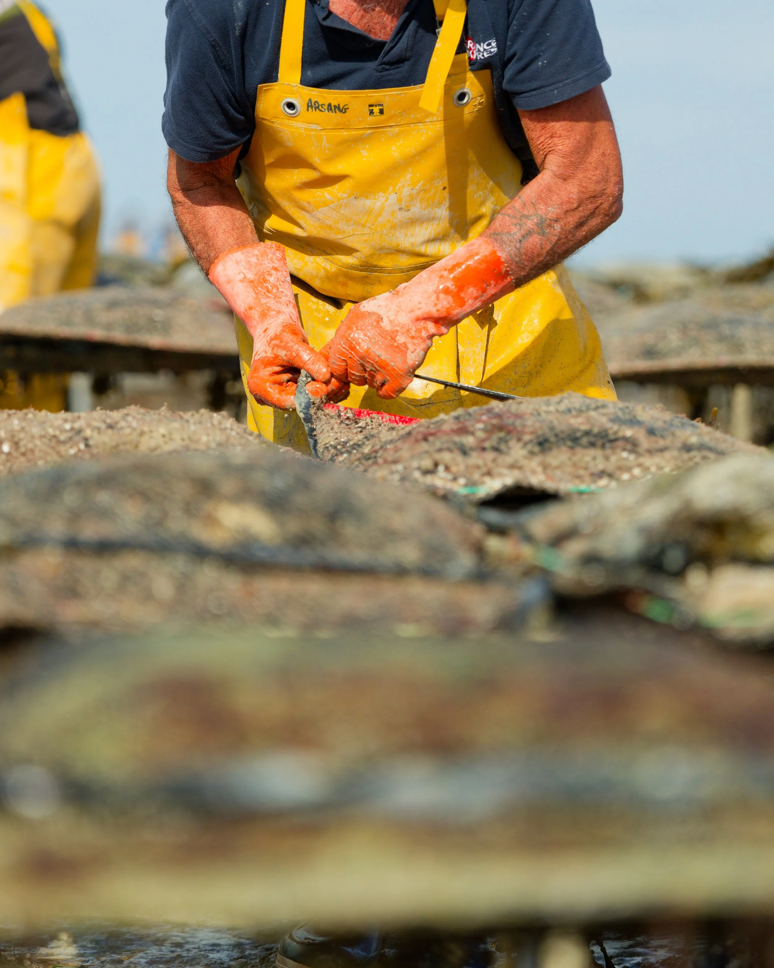 Une personne portant un tablier jaune, des gants en caoutchouc orange et un t-shirt bleu, en train de récupérer un objet dans une zone de pêche. La personne a des bras tatoués.