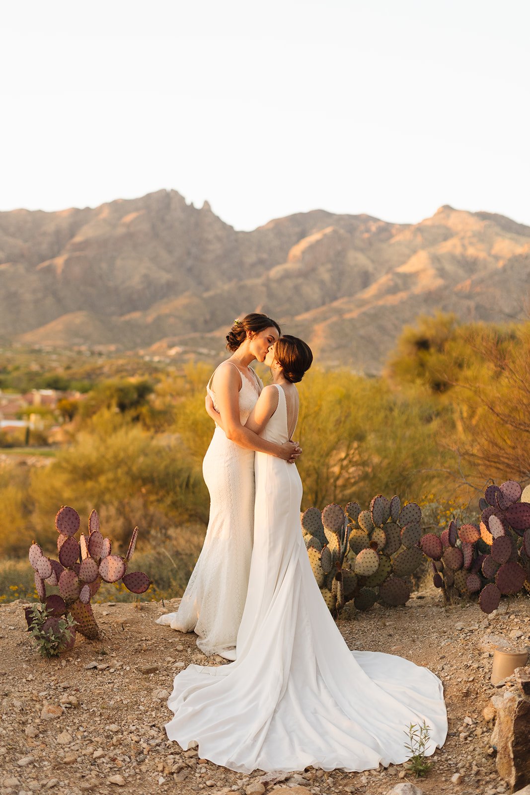 Lisa & Ashleigh Tucson AZ Wedding-2373_websize.jpg