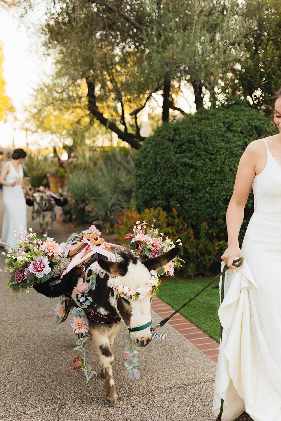 Lisa & Ashleigh Tucson AZ Wedding-2065_websize.jpg