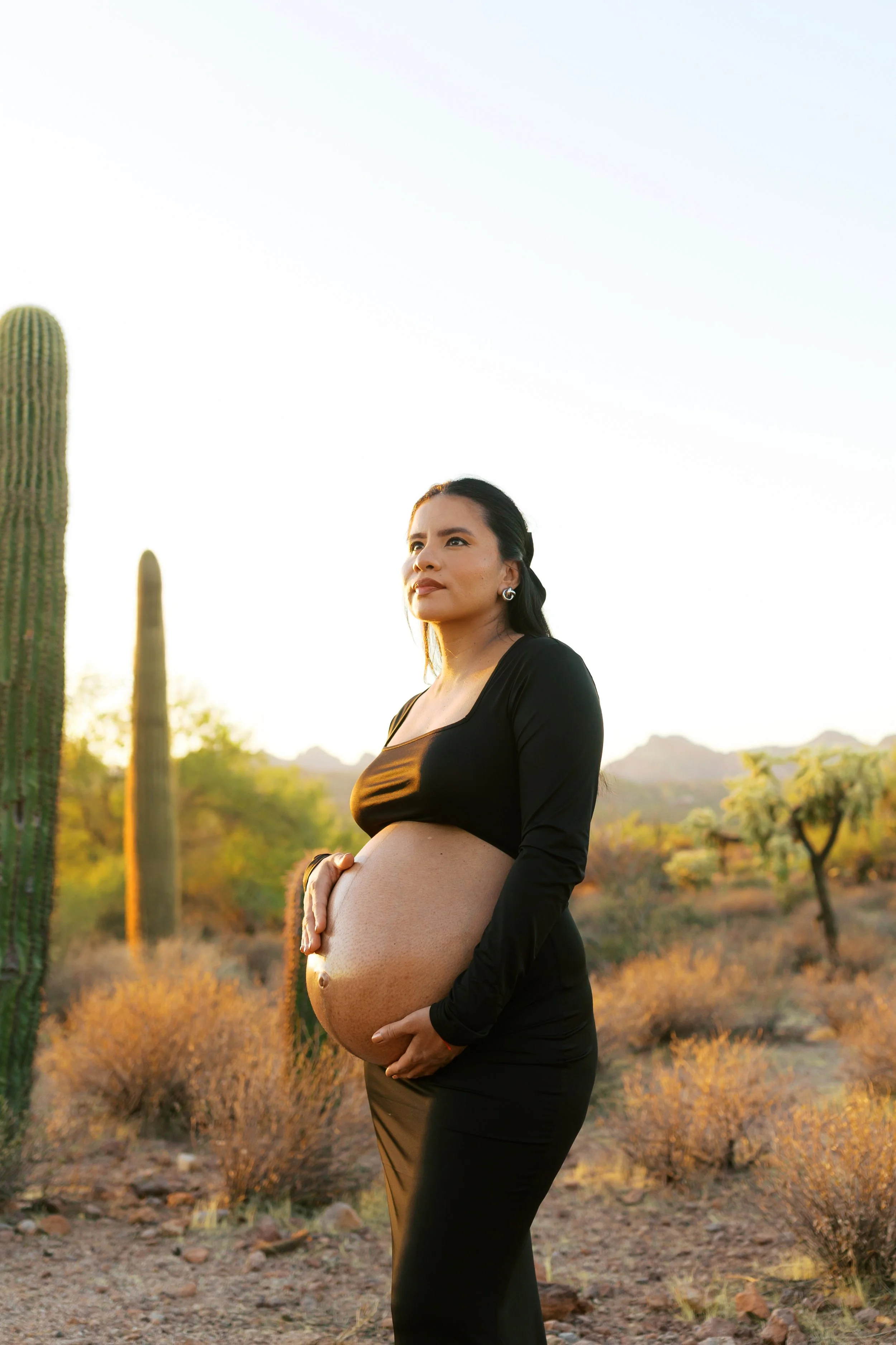 Maternity MC-0420 copy.JPG