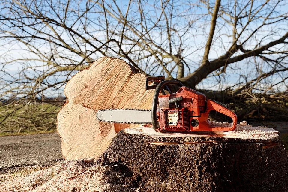 chainsaw-4815949_960_720.jpg