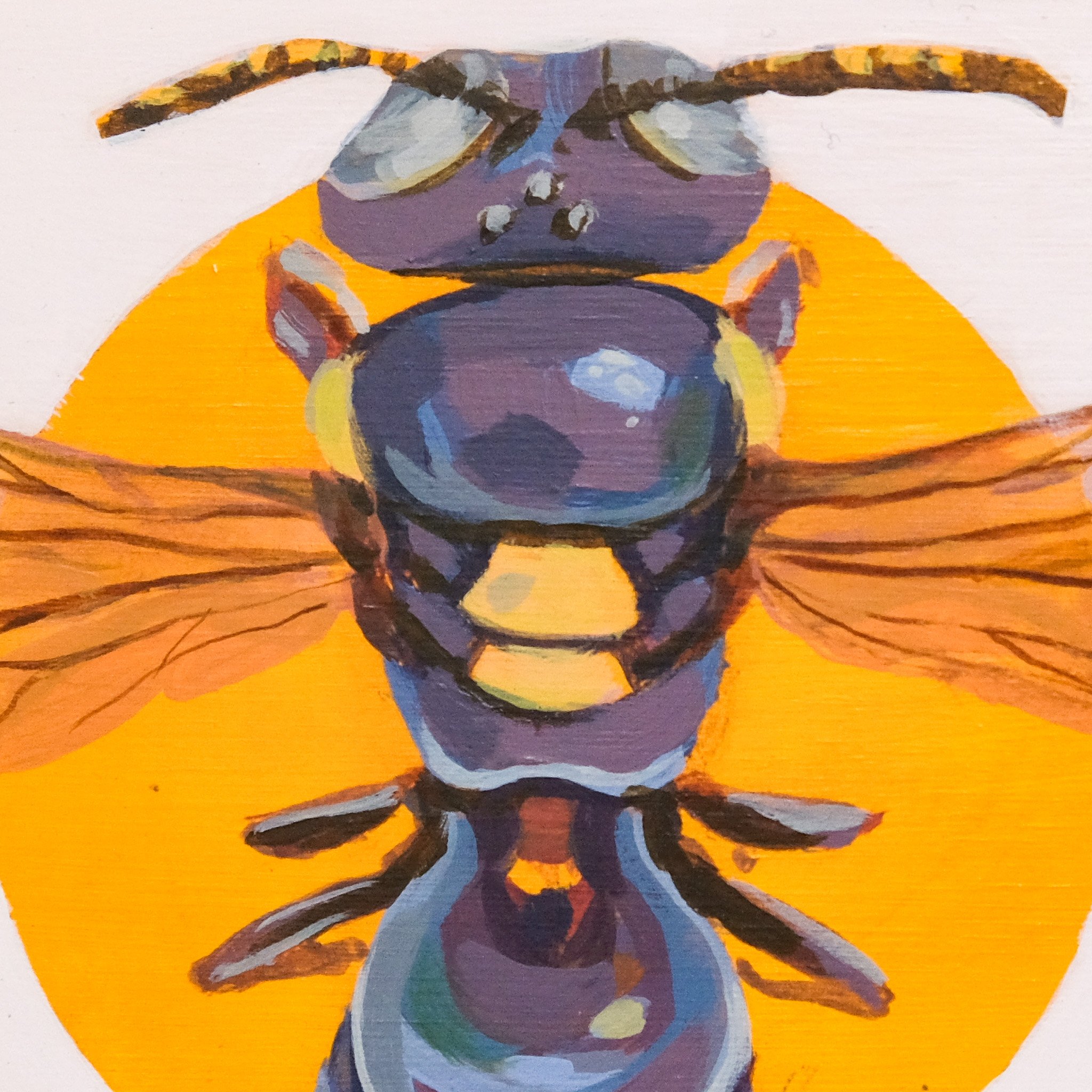 Amphylaeus Obscuriceps_Wearesavingthewrongbees_OriginalArtwork_KatStefanova_AustralianNativeBees_detail2.jpg