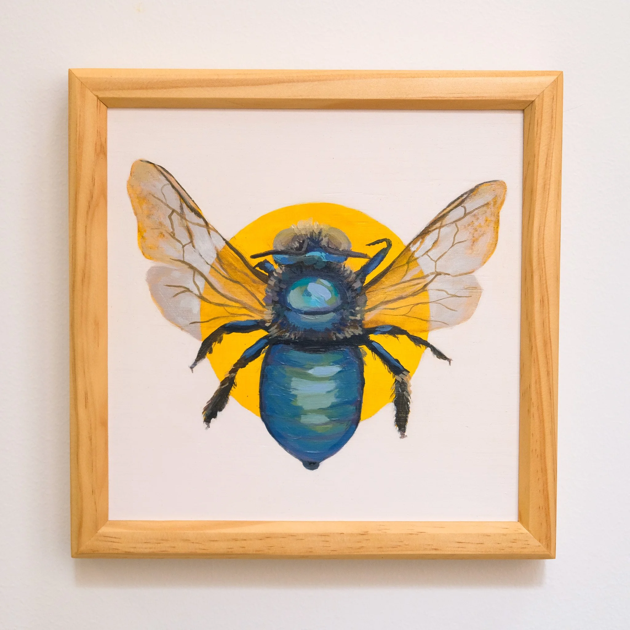 Xylocopa Bombylans_Wearesavingthewrongbees_OriginalArtwork_KatStefanova_AustralianNativeBees.jpg