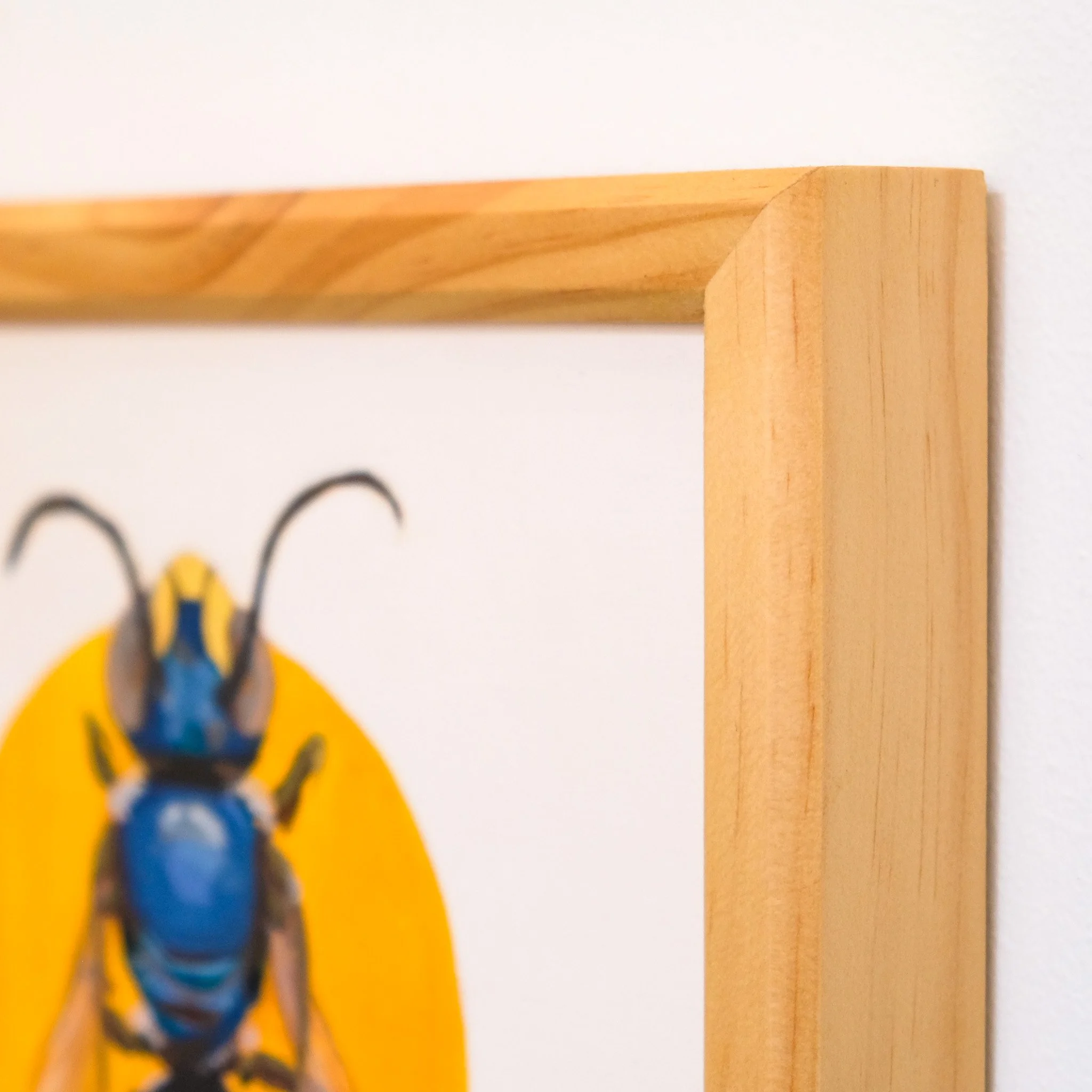 Disjunctus Hylaeine_Wearesavingthewrongbees_OriginalArtwork_KatStefanova_AustralianNativeBees_detail4.jpg