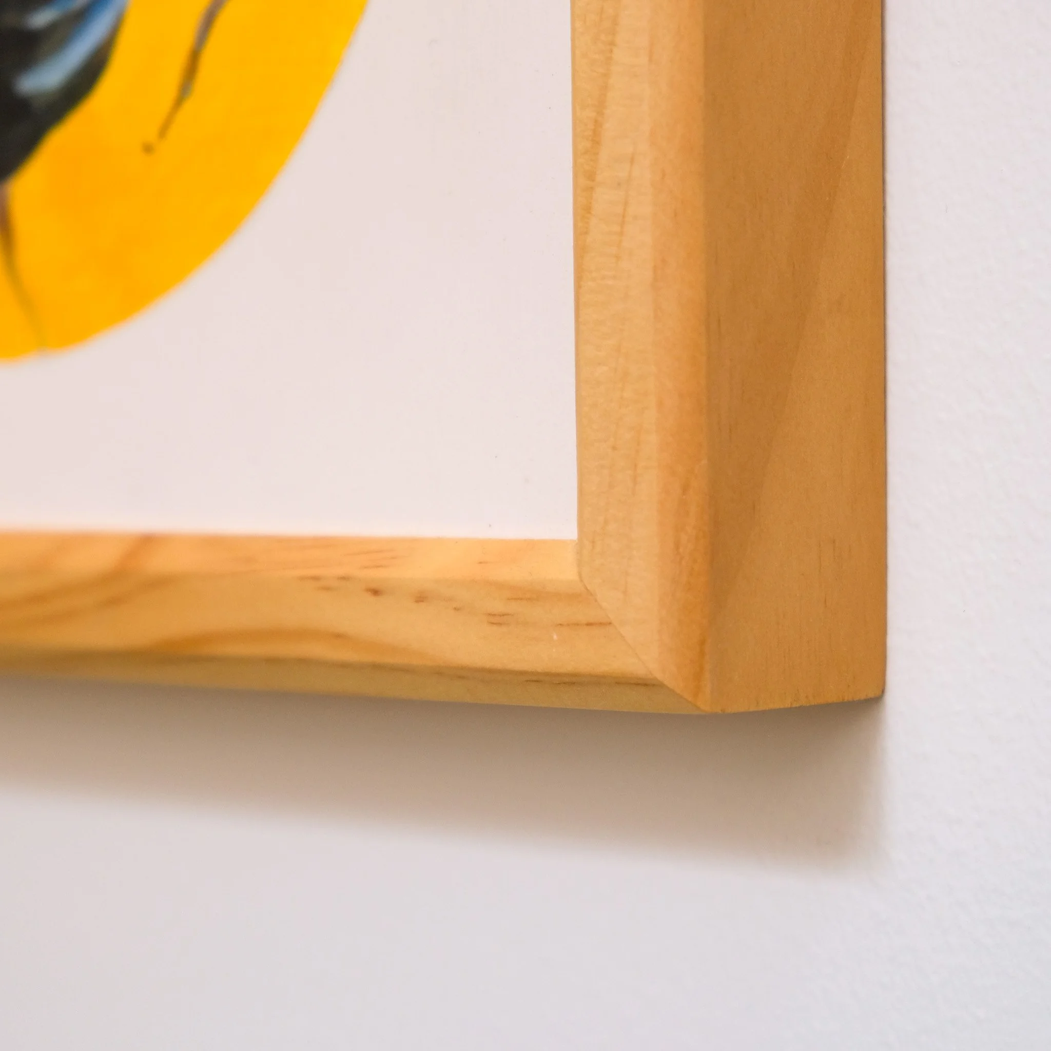 Thyreus Nitidus_Wearesavingthewrongbees_OriginalArtwork_KatStefanova_AustralianNativeBees-detail3.jpg