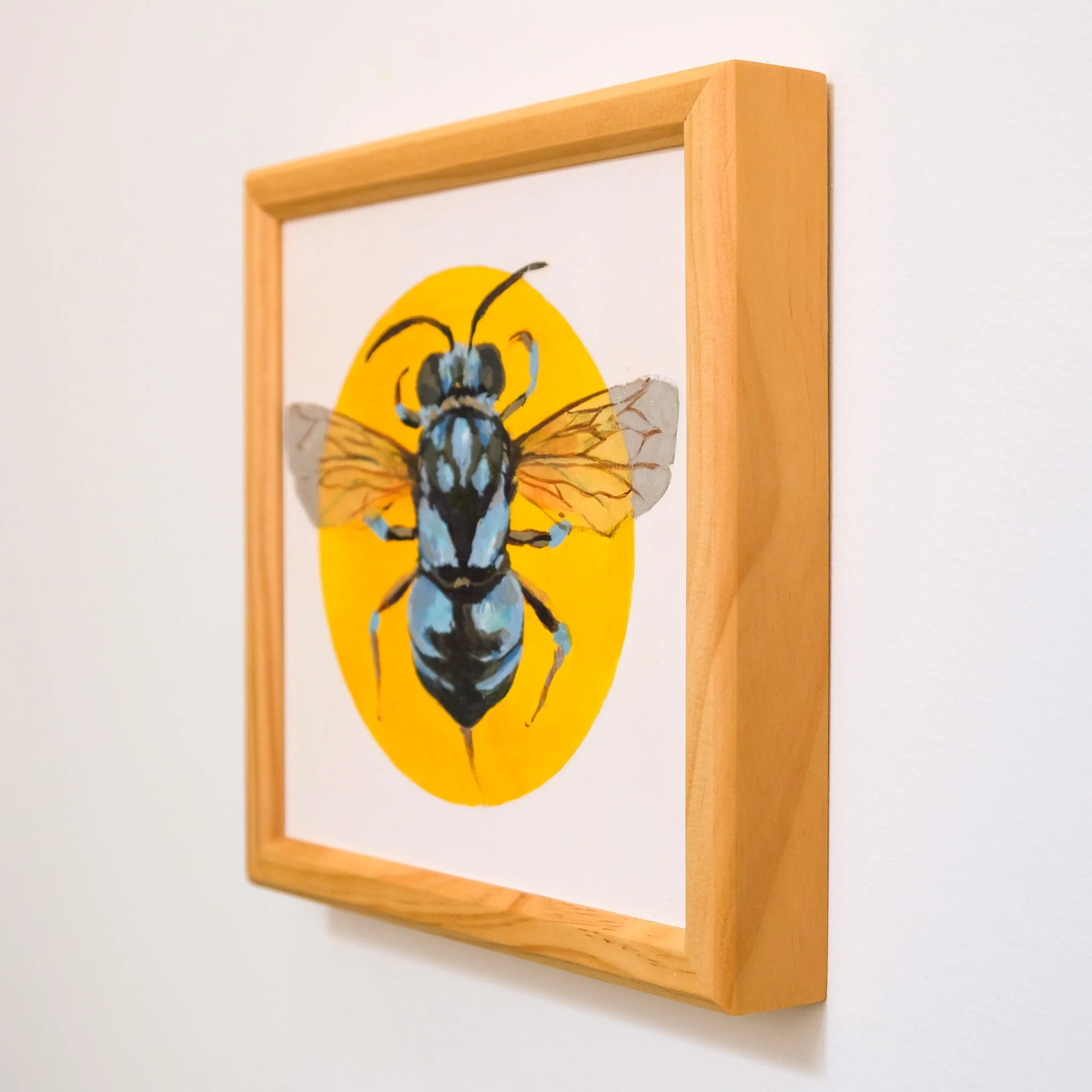 Thyreus Nitidus_Wearesavingthewrongbees_OriginalArtwork_KatStefanova_AustralianNativeBees-detail2.jpg