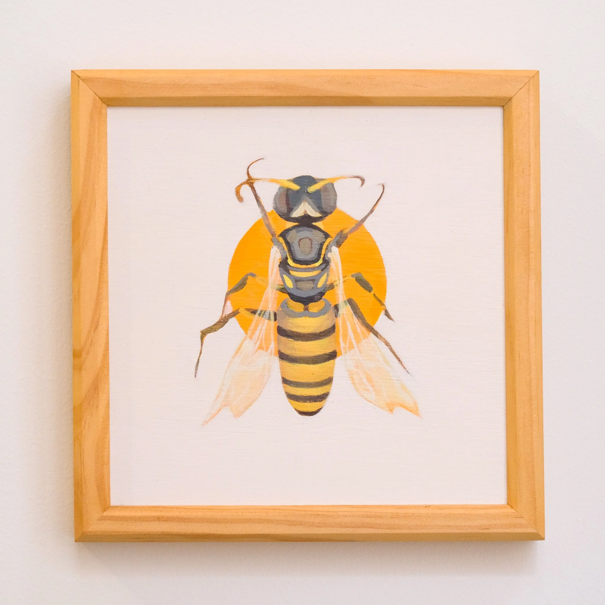 Euhesma Australis Euryglossine 21x21cm