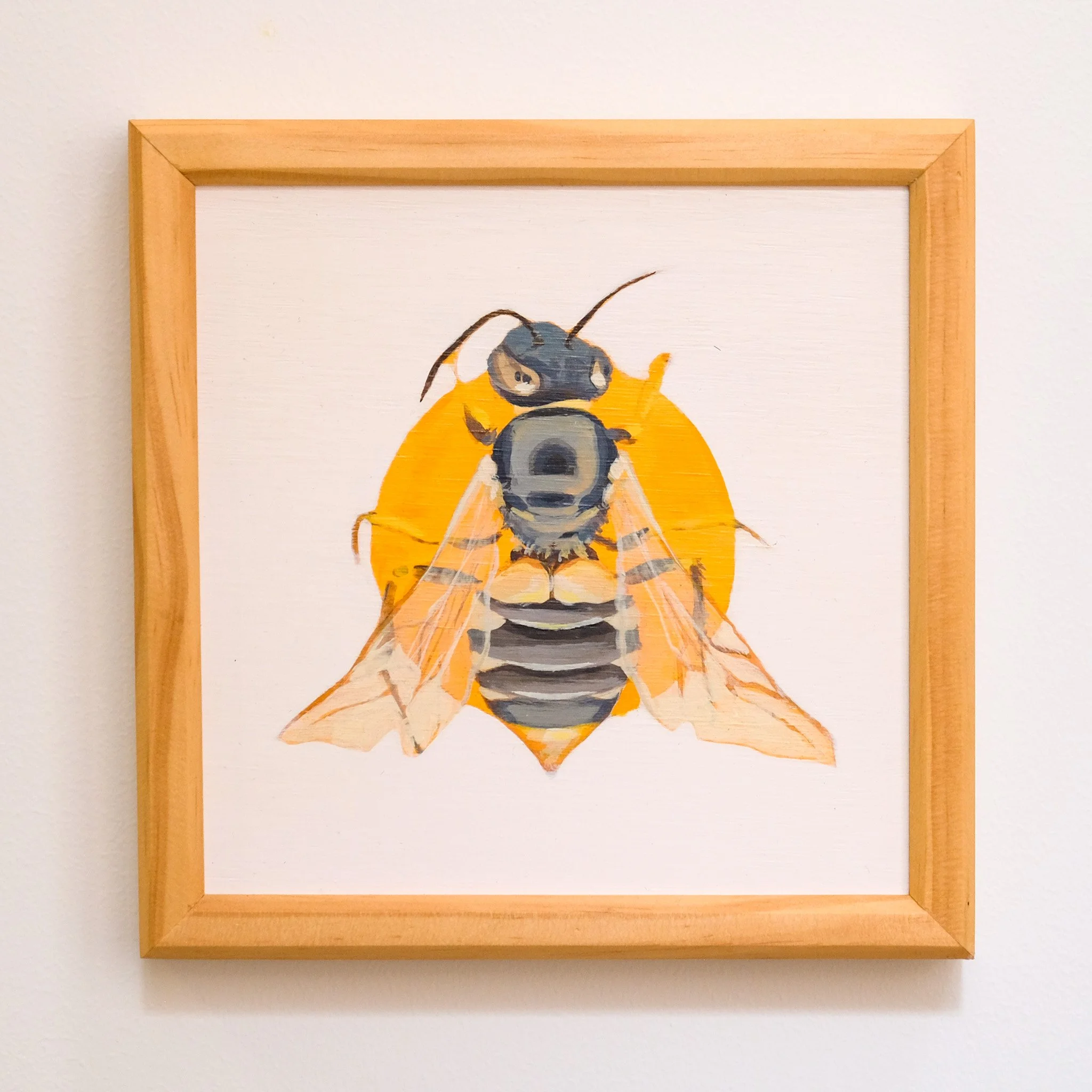 Bella Euryglossine 21x21cm