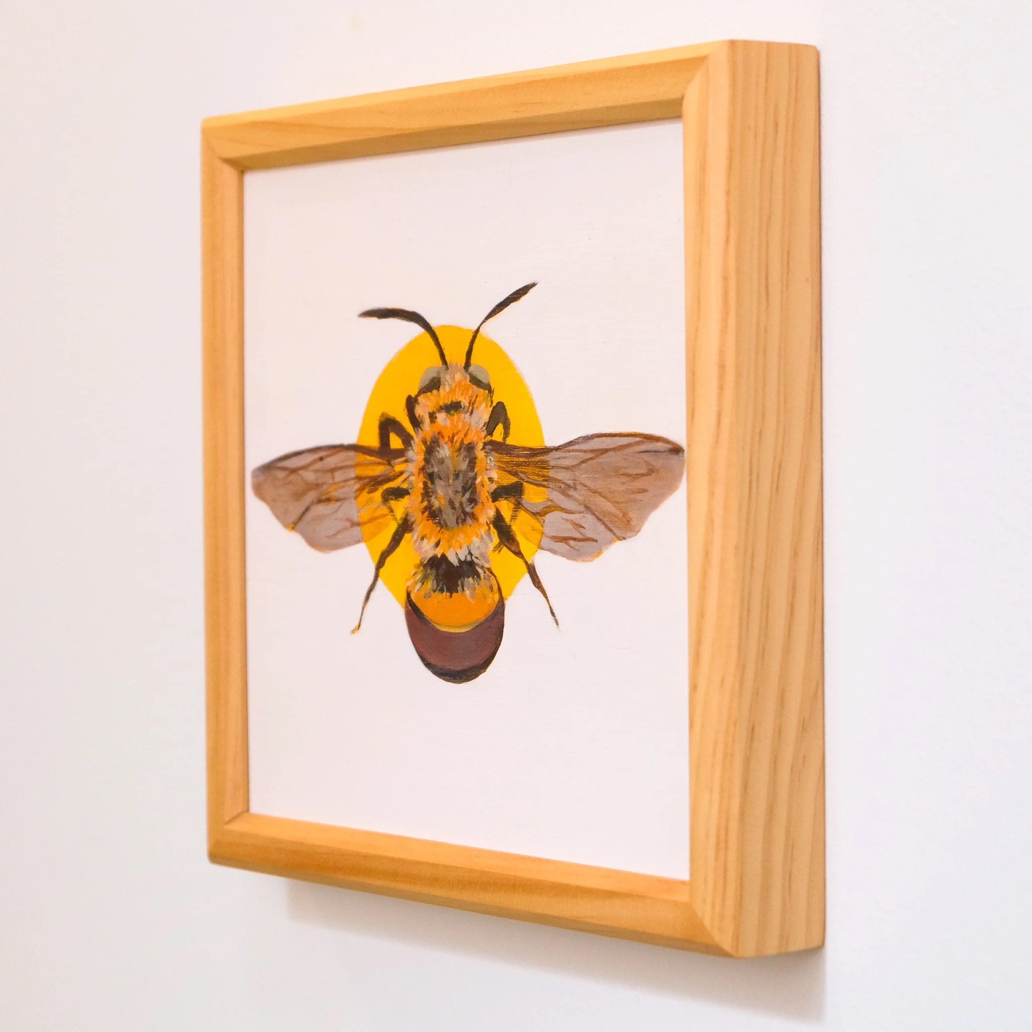 Amegilla Dawsoni_Wearesavingthewrongbees_OriginalArtwork_KatStefanova_AustralianNativeBees_detail.jpg