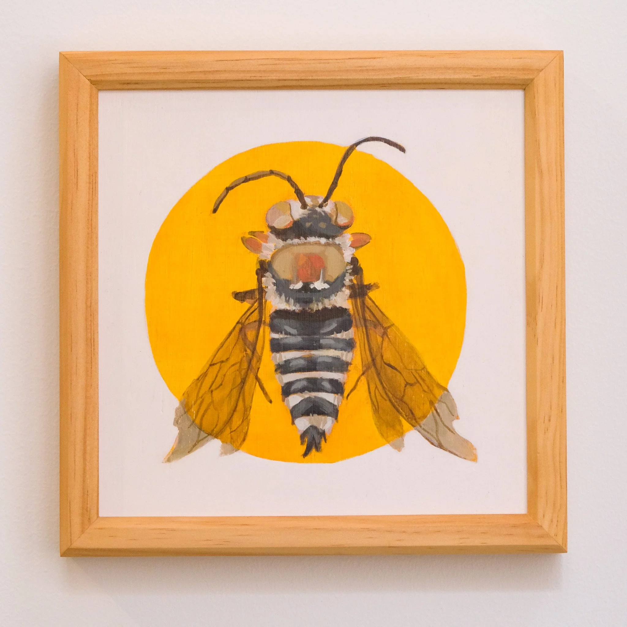 Coelioxys Albolineata_Wearesavingthewrongbees_OriginalArtwork_KatStefanova_AustralianNativeBees.jpg