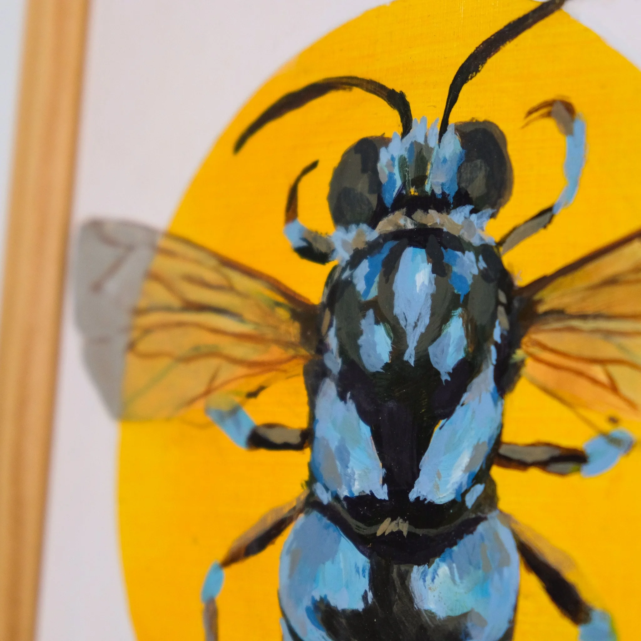 Thyreus Nitidus_Wearesavingthewrongbees_OriginalArtwork_KatStefanova_AustralianNativeBees-detail1.jpg