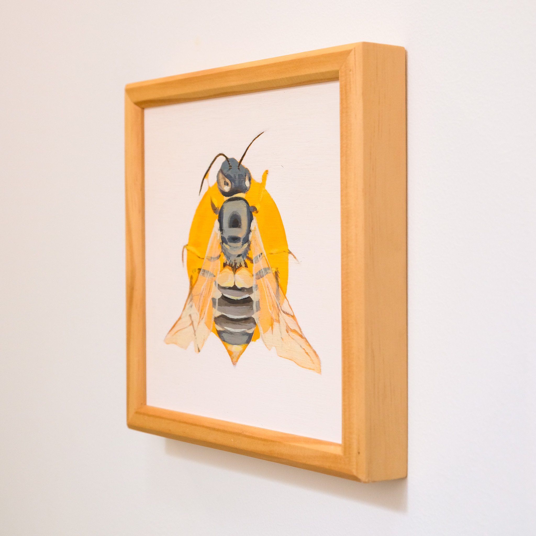 Bella Euryglossine_Wearesavingthewrongbees_OriginalArtwork_KatStefanova_AustralianNativeBees.jpg