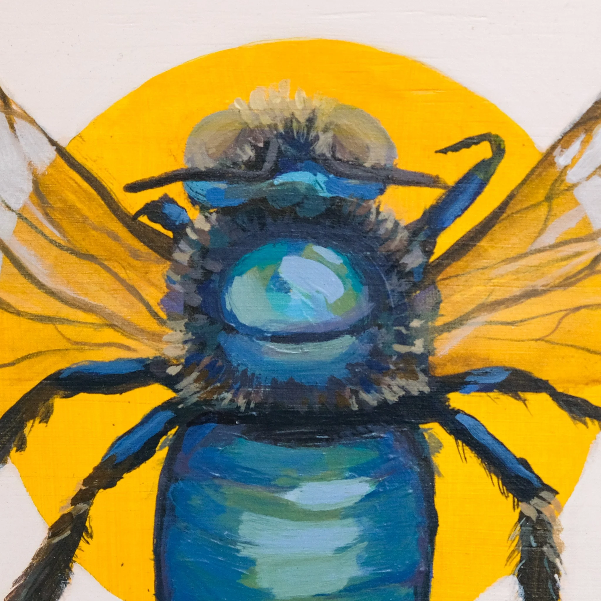 Xylocopa Bombylans_Wearesavingthewrongbees_OriginalArtwork_KatStefanova_AustralianNativeBees_detail2.jpg