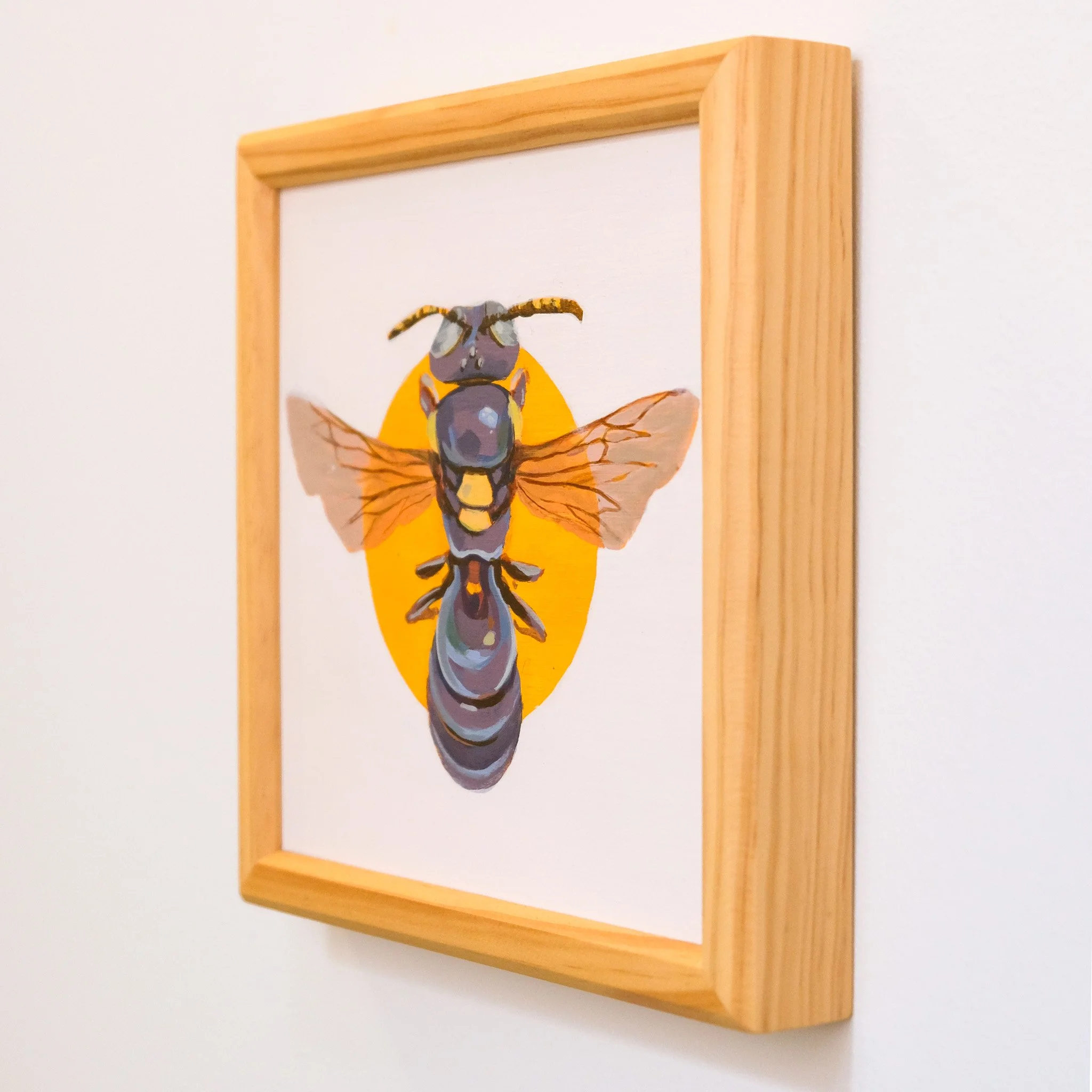 Amphylaeus Obscuriceps_Wearesavingthewrongbees_OriginalArtwork_KatStefanova_AustralianNativeBees_detail.jpg