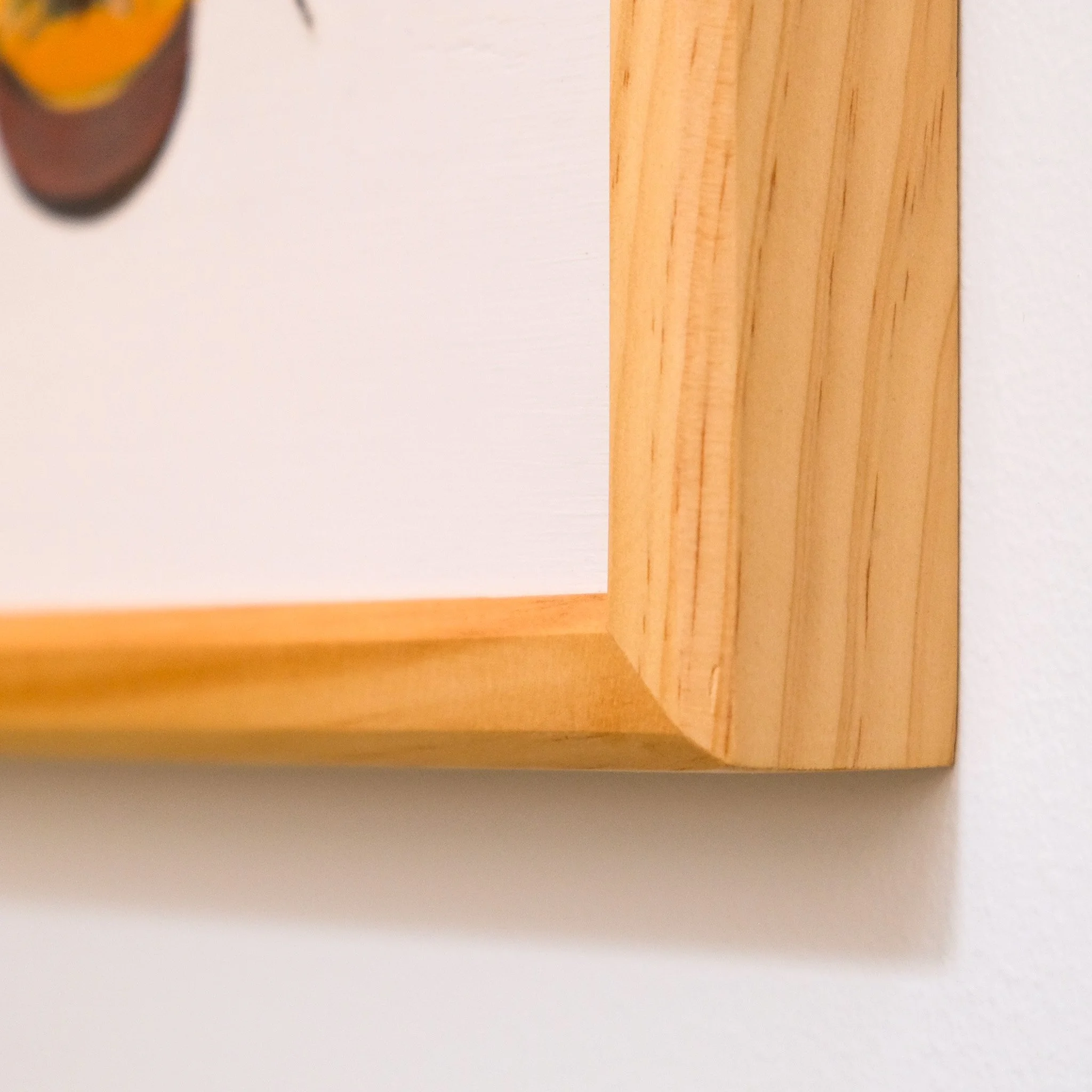 Amegilla Dawsoni_Wearesavingthewrongbees_OriginalArtwork_KatStefanova_AustralianNativeBees_detail2.jpg