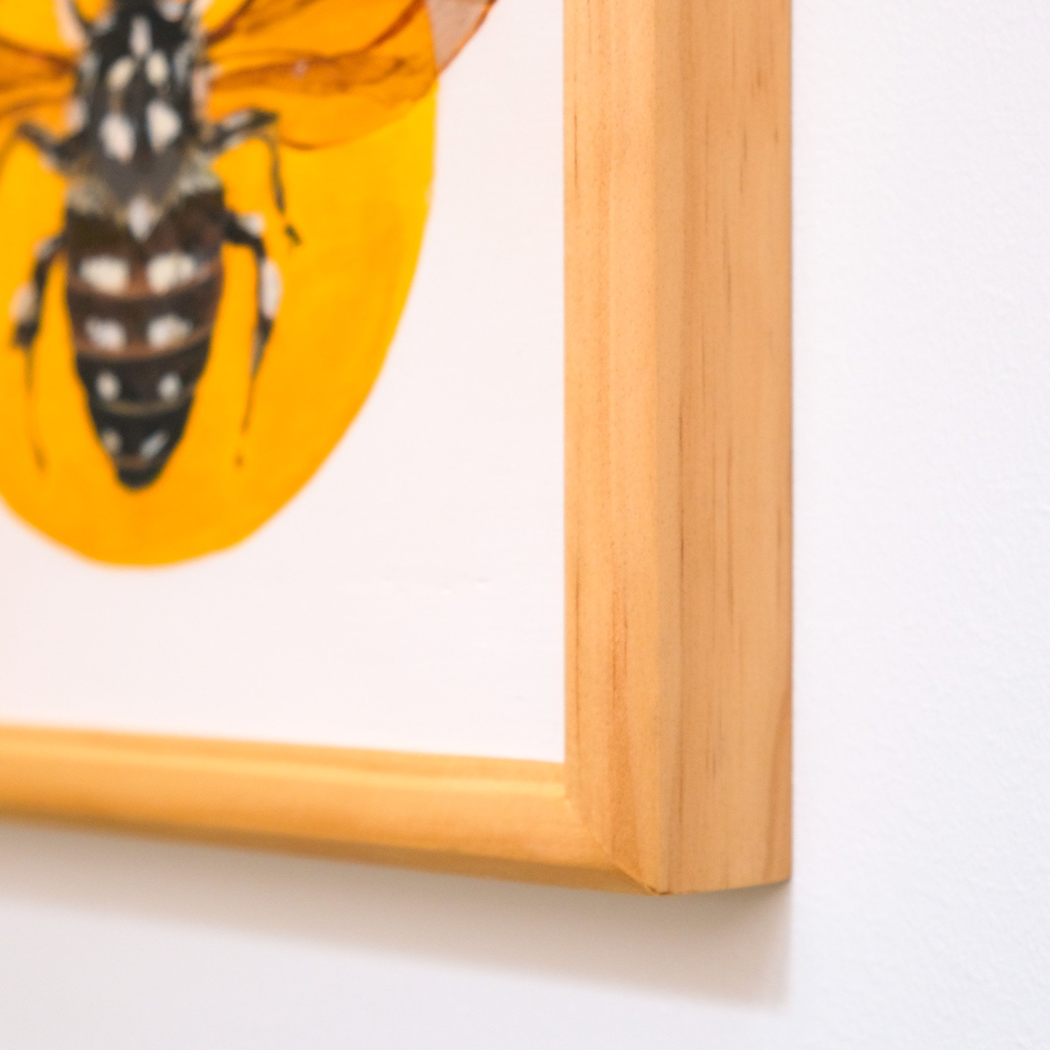 Thyreus Lugubris_Wearesavingthewrongbees_OriginalArtwork_KatStefanova_AustralianNativeBees_detail2.jpg