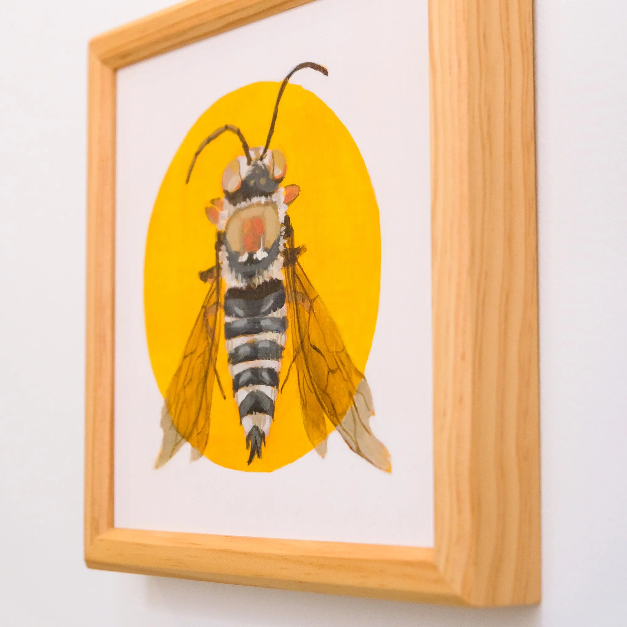 Coelioxys Albolineata_Wearesavingthewrongbees_OriginalArtwork_KatStefanova_AustralianNativeBees_detail.jpg