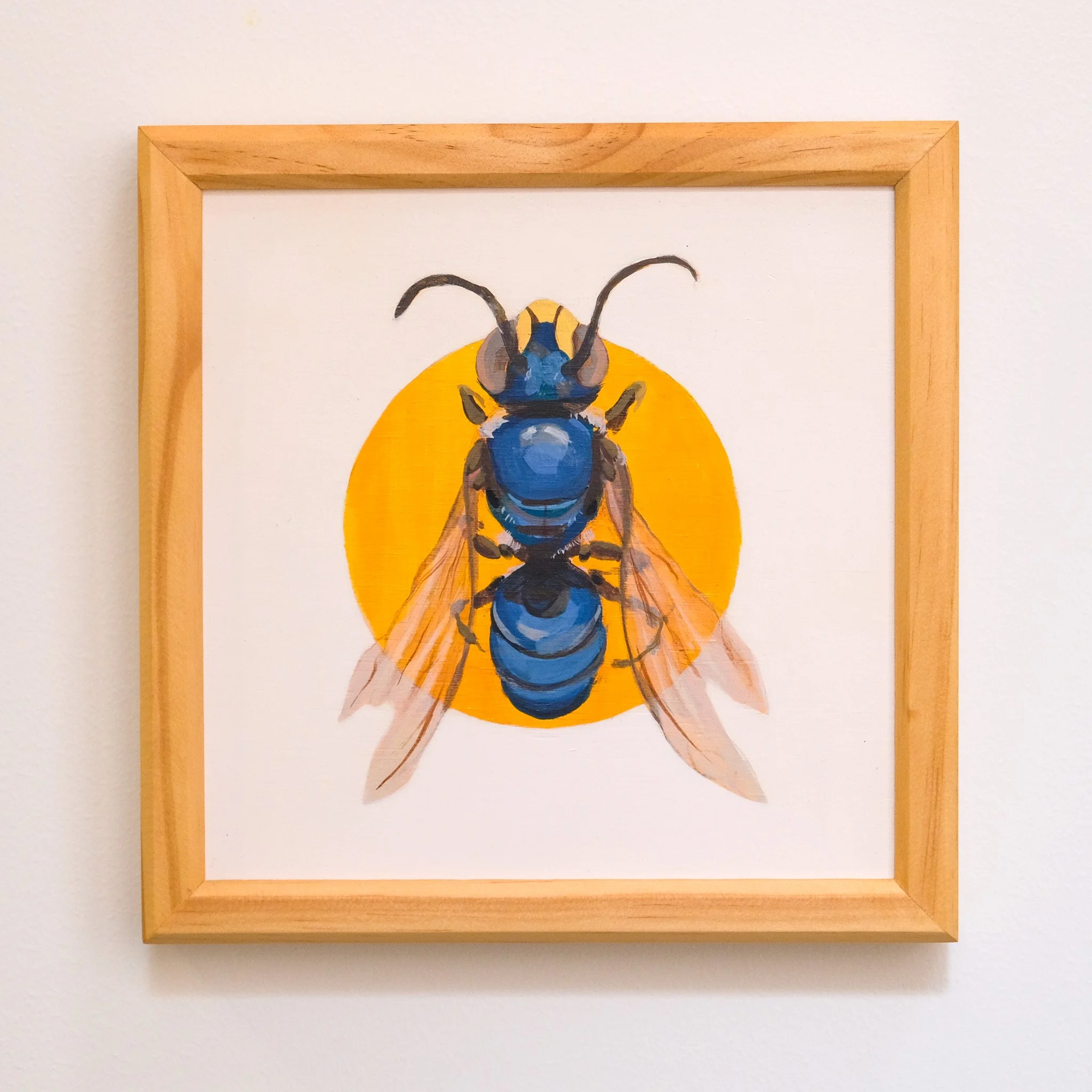 Disjunctus Hylaeine_Wearesavingthewrongbees_OriginalArtwork_KatStefanova_AustralianNativeBees.jpg