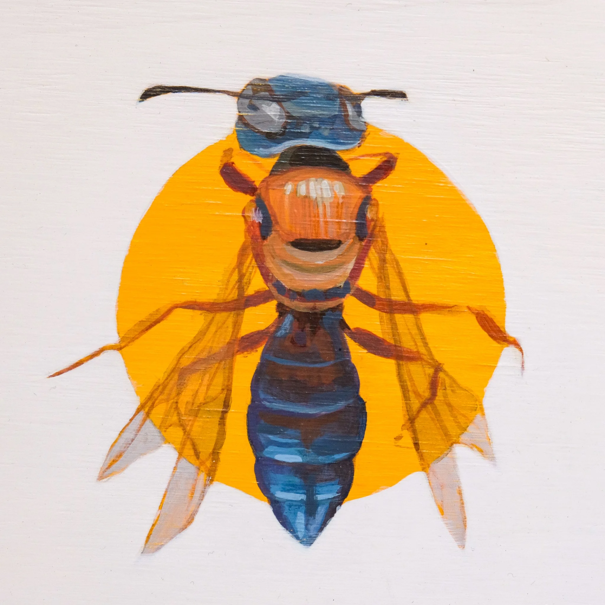Weiri Euryglossine_Wearesavingthewrongbees_OriginalArtwork_KatStefanova_AustralianNativeBees-closeup.jpg