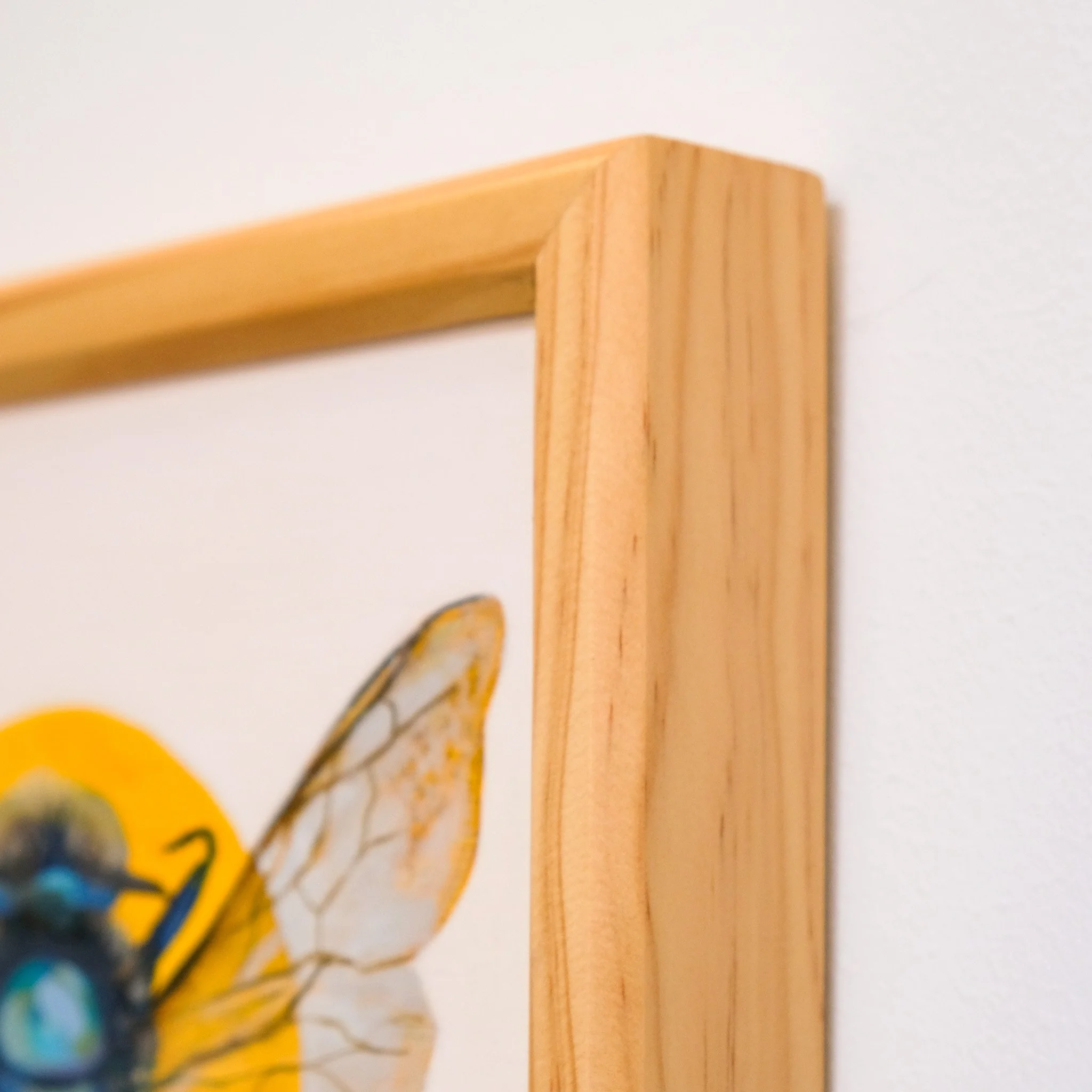 Xylocopa Bombylans_Wearesavingthewrongbees_OriginalArtwork_KatStefanova_AustralianNativeBees_detail3.jpg