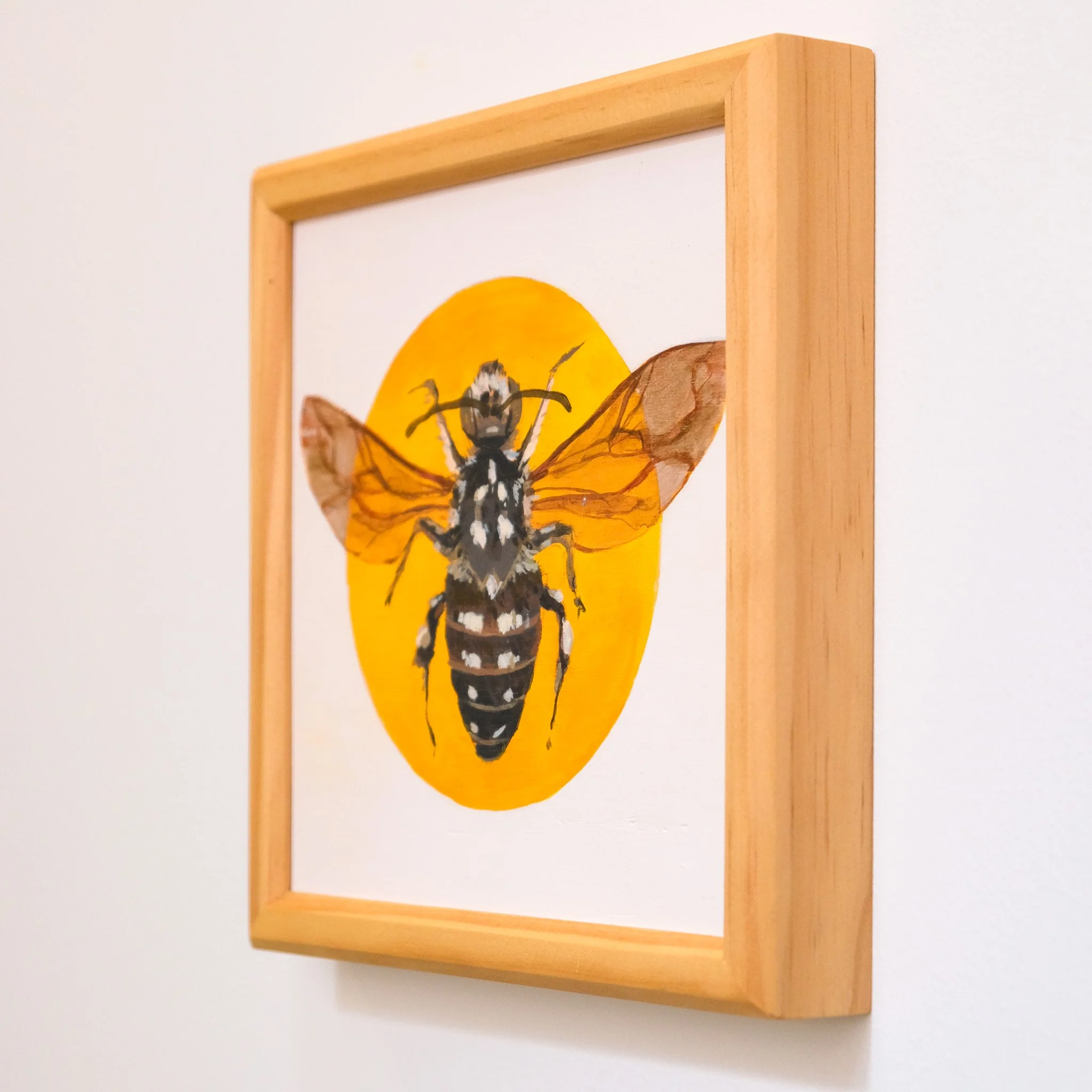 Thyreus Lugubris_Wearesavingthewrongbees_OriginalArtwork_KatStefanova_AustralianNativeBees_detail.jpg