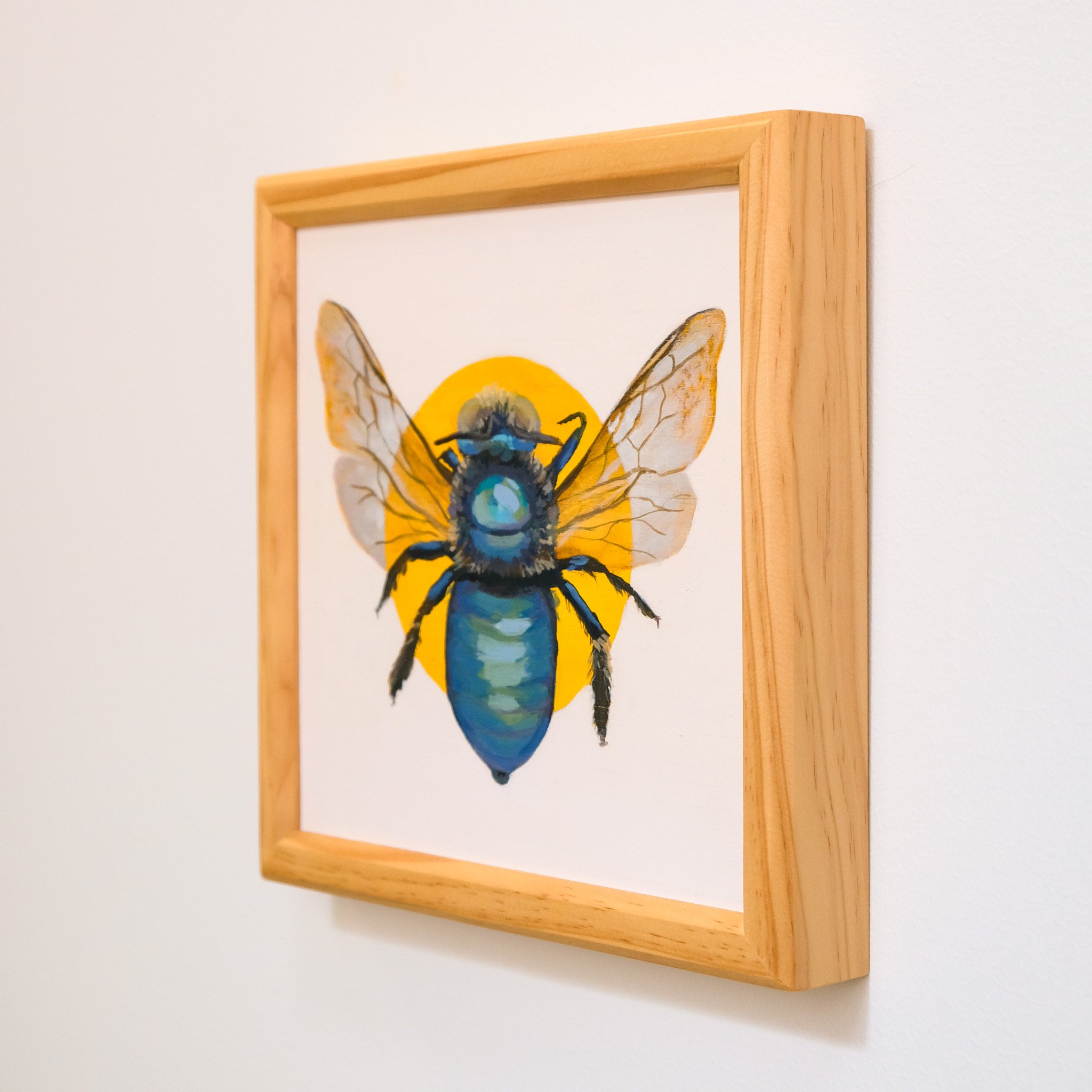 Xylocopa Bombylans_Wearesavingthewrongbees_OriginalArtwork_KatStefanova_AustralianNativeBees_detail.jpg