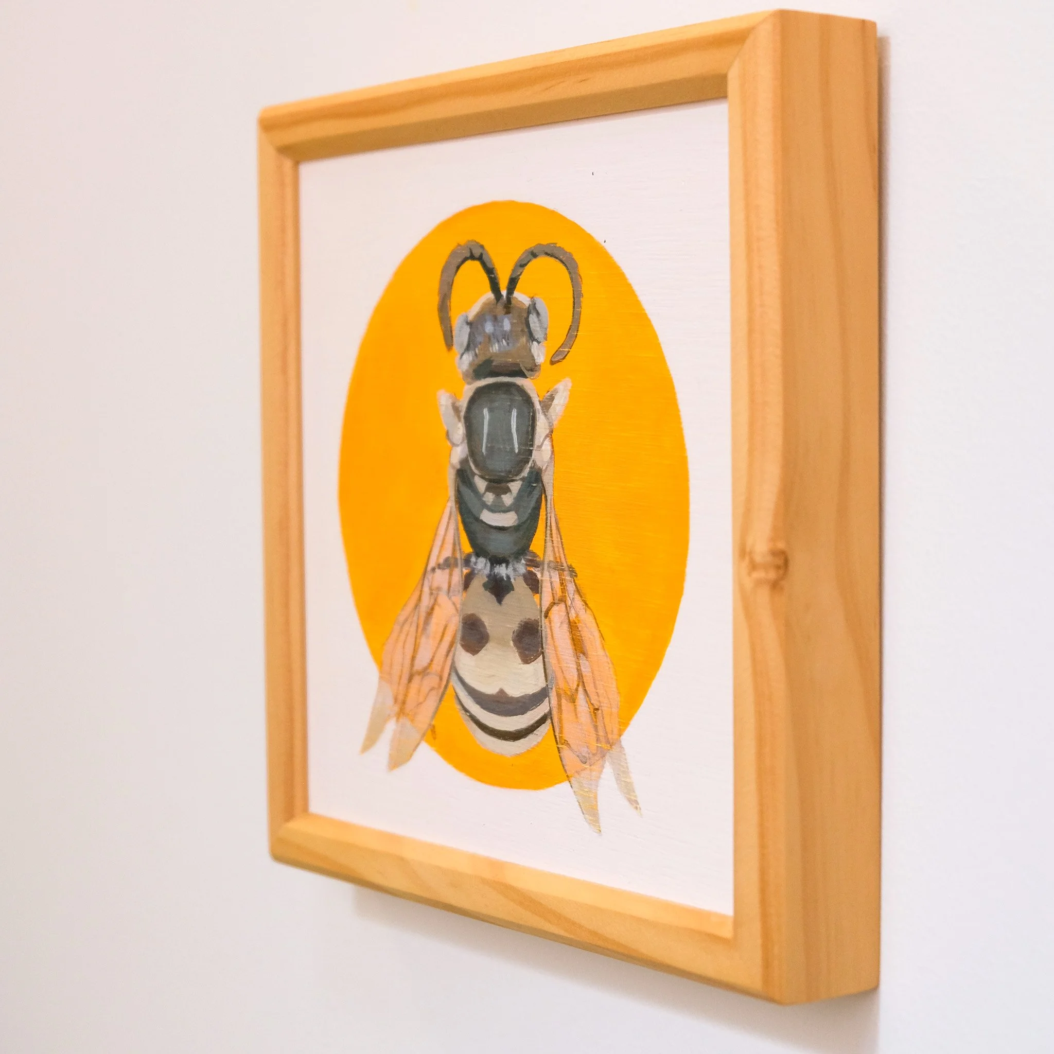 Albozebratus Hylaeine_Wearesavingthewrongbees_OriginalArtwork_KatStefanova_AustralianNativeBees_detail.jpg