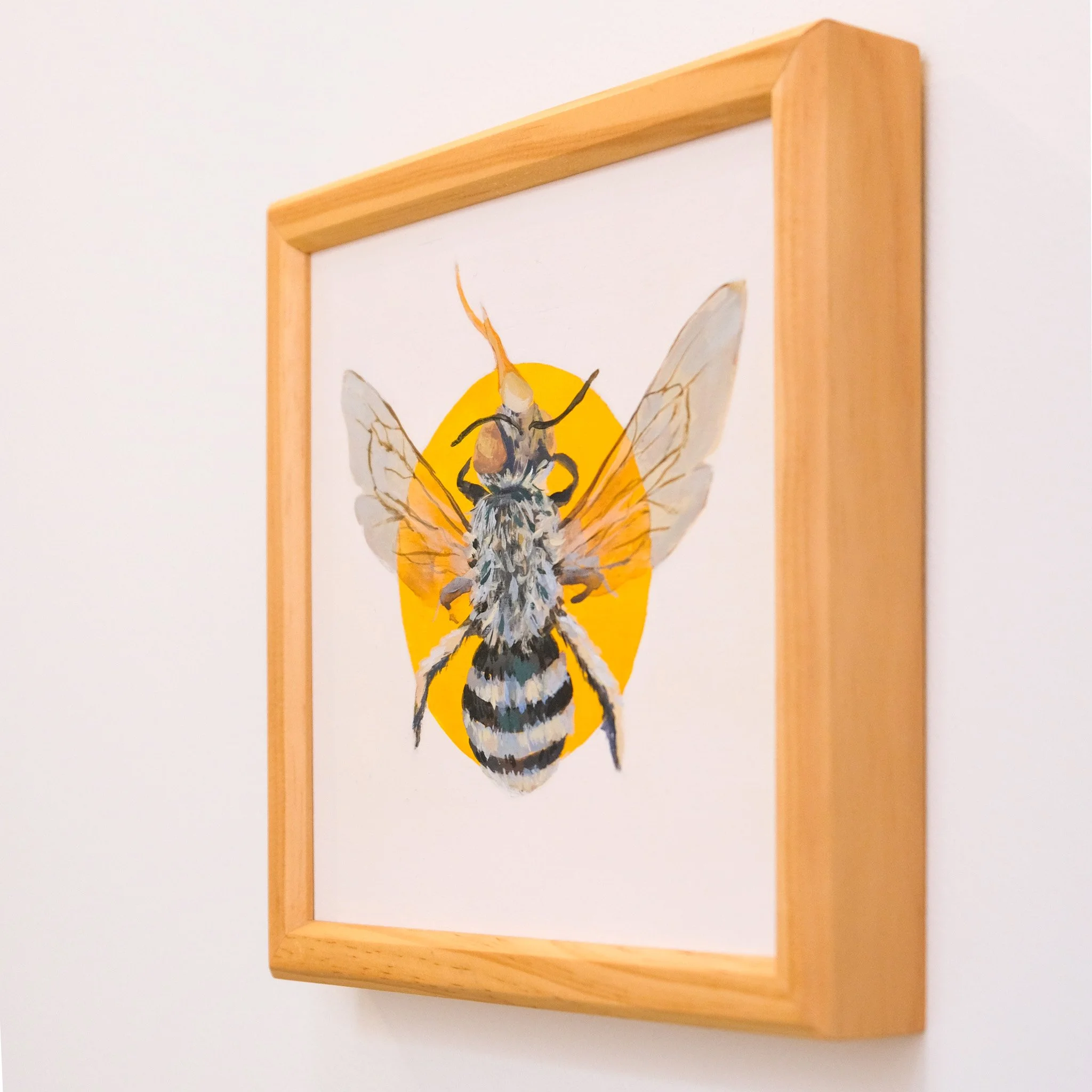 Amegilla Chlorocyanea_Wearesavingthewrongbees_OriginalArtwork_KatStefanova_AustralianNativeBees_detail.jpg