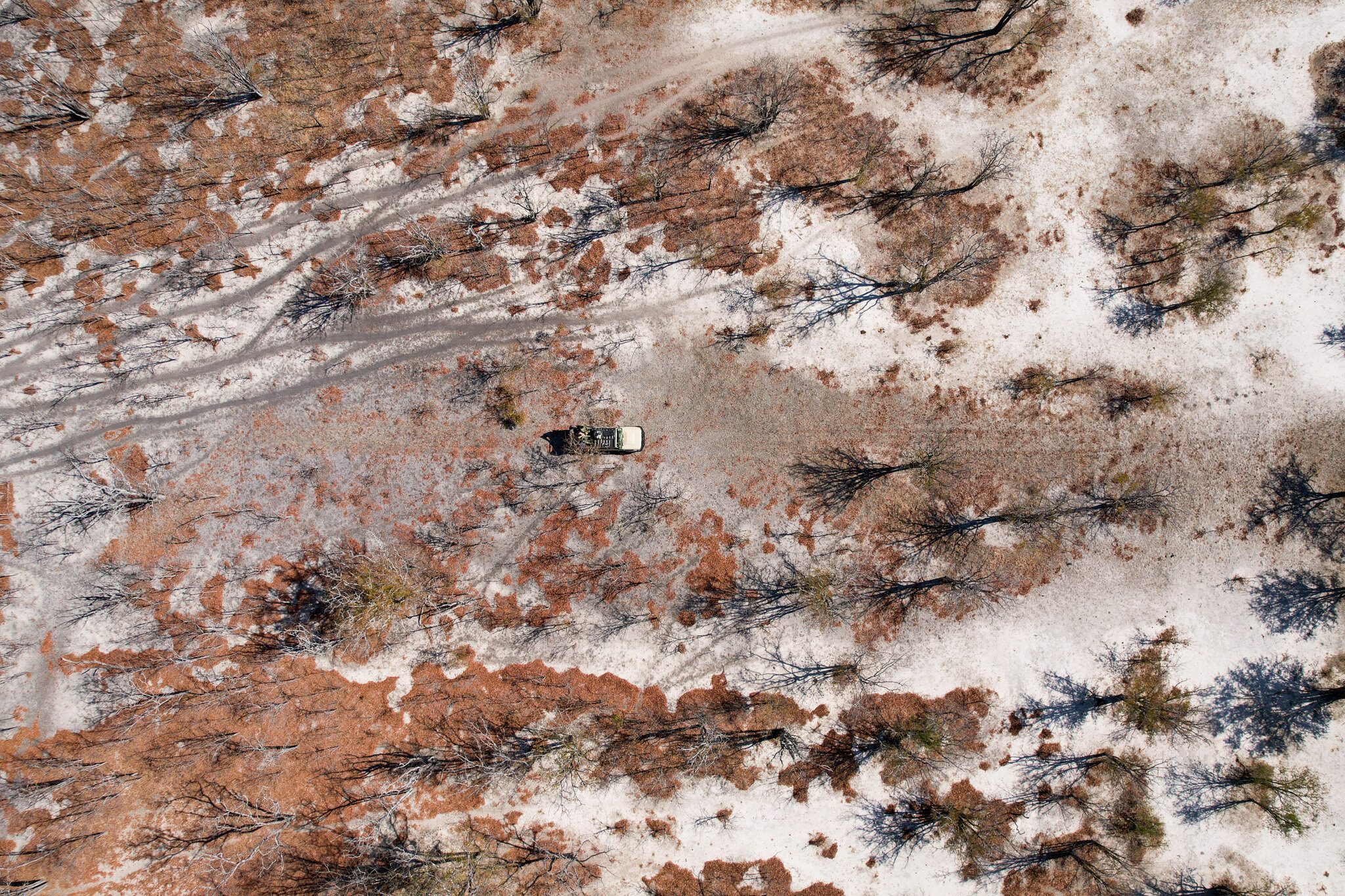 DJI_0501.jpg