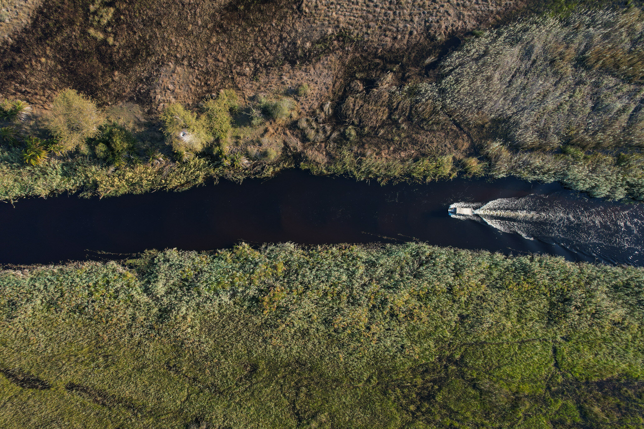 DJI_0447.jpg