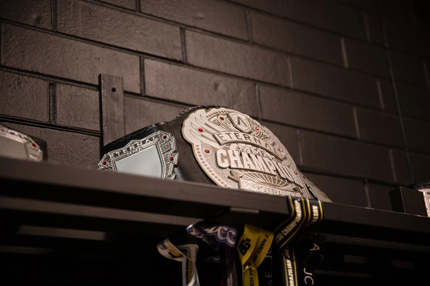 October in review 🎞️
From our youngest competitors to our champions under the lights every moment shaped right here at DCA MMA.
Proud of the team. Proud of the family. 💙