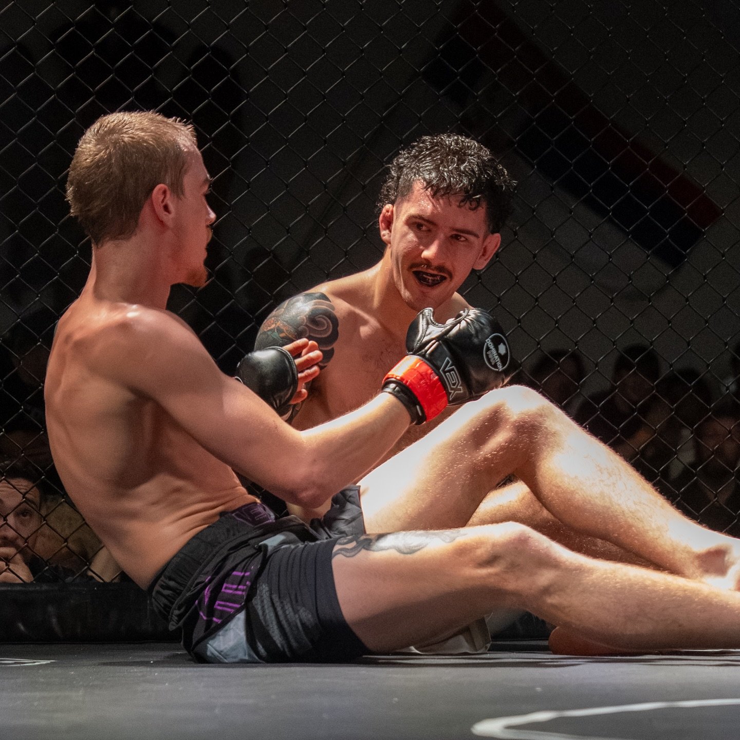 Fun fact: Kade and Hunter were classmates in high school. Years later, they became cage mates. High school reunion hit different 😂