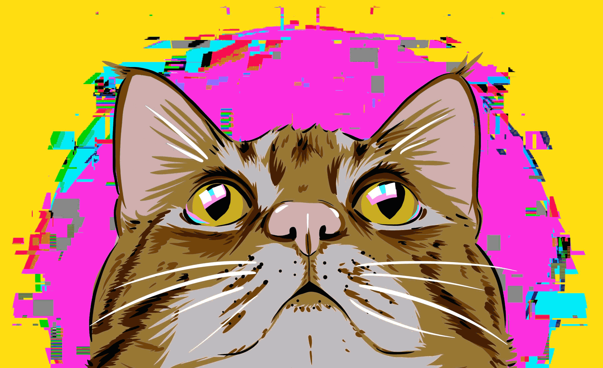 Glitchy Kitty NFT’s
