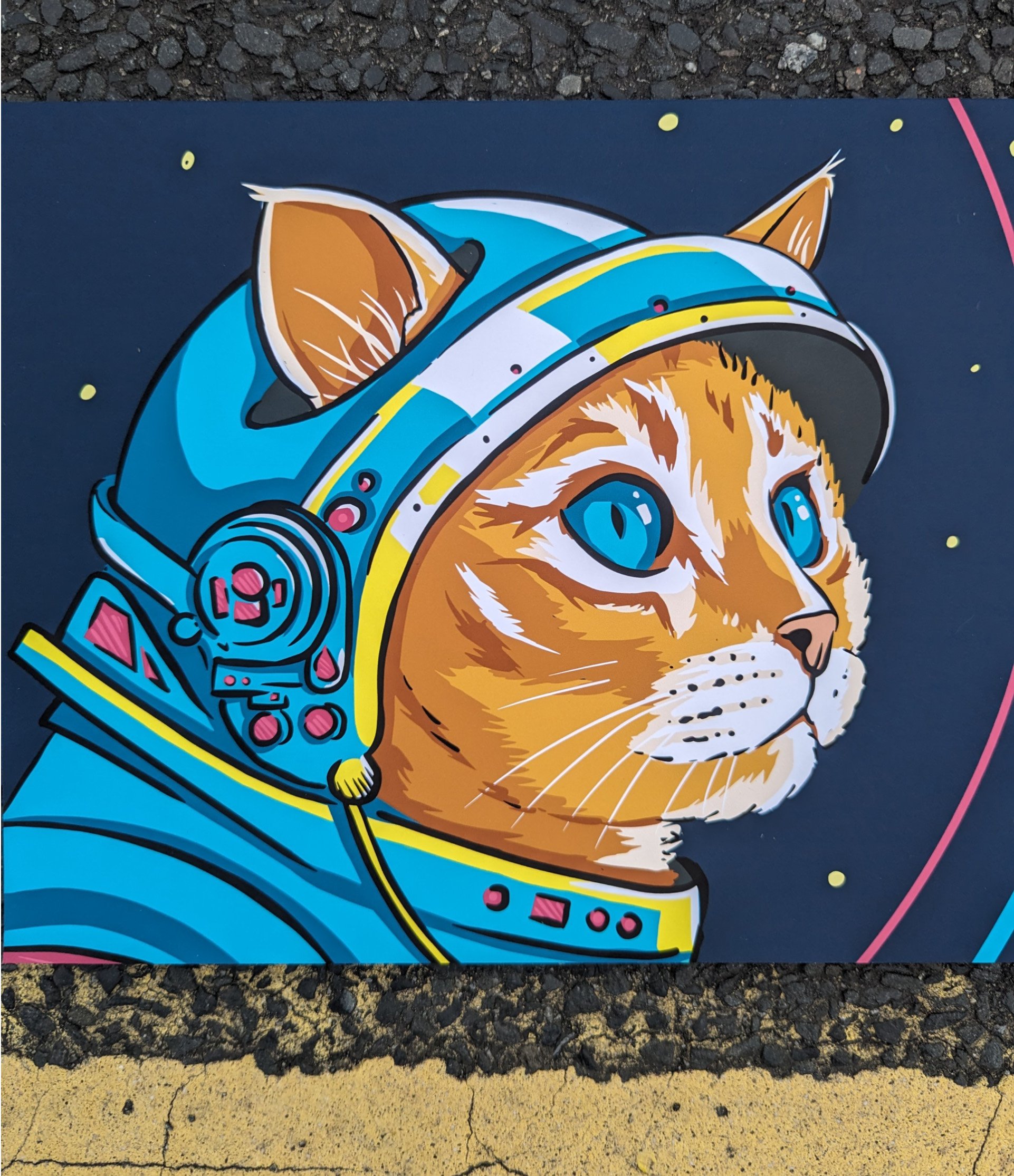 Space kitty ginger for website.jpg